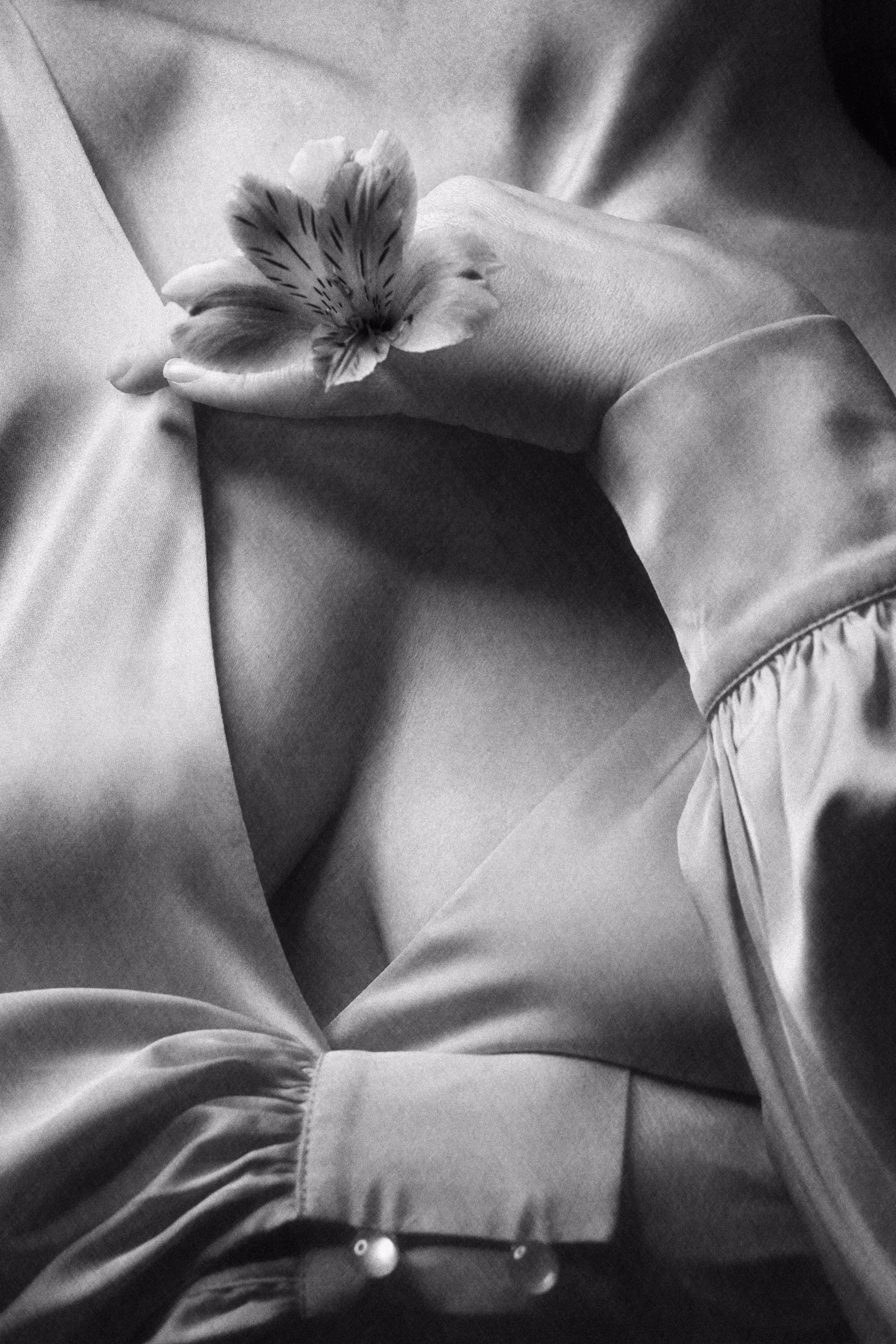 Silk Plume