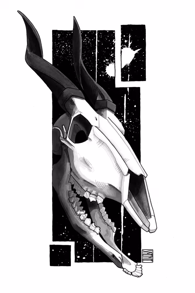 Bongo Skull Study
