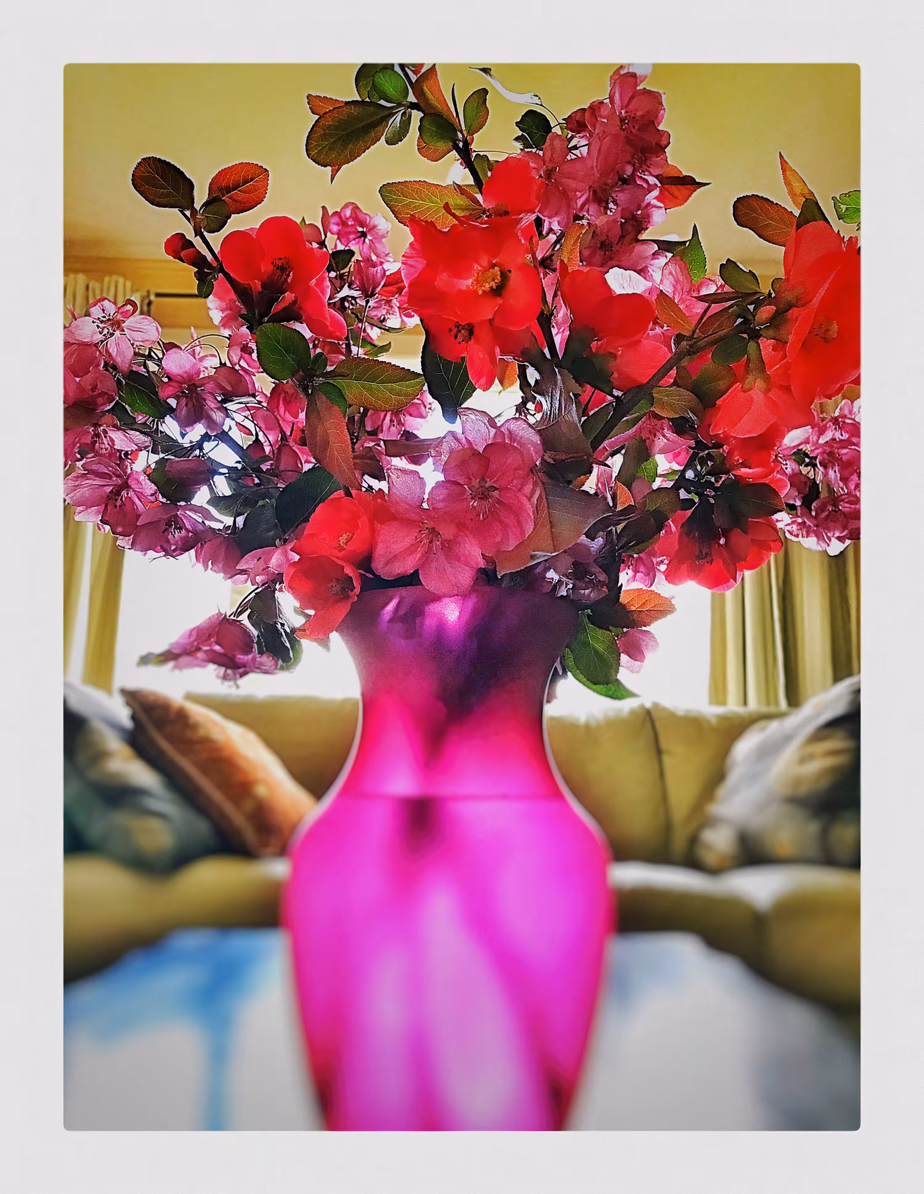 Bouquet