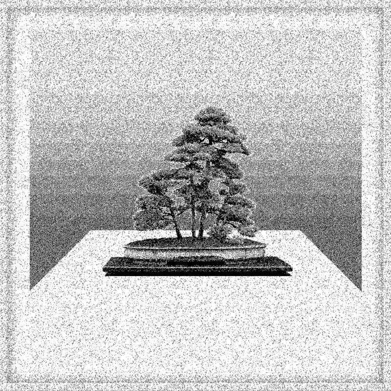 Bonsai Bonanza #93
