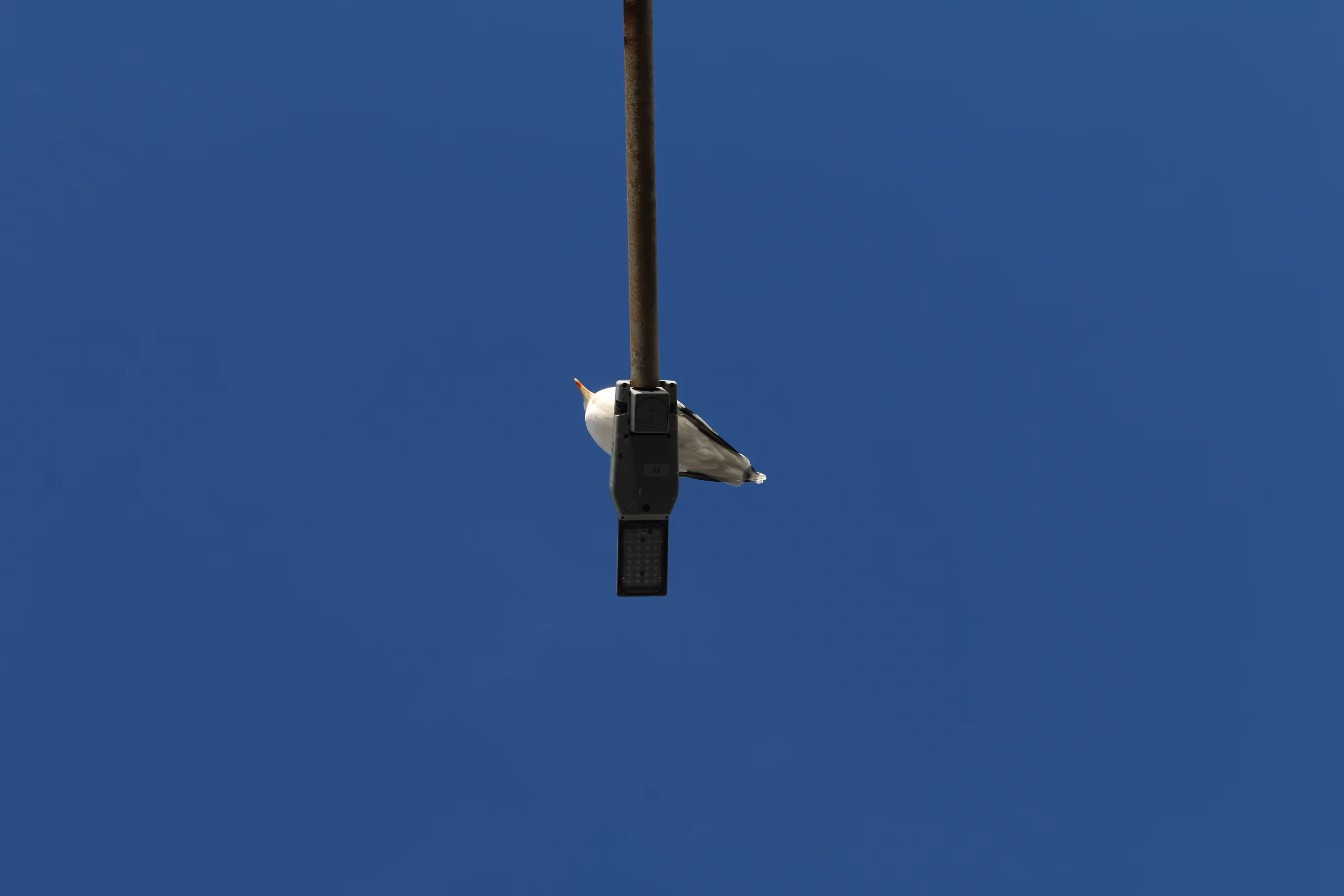 Point of view