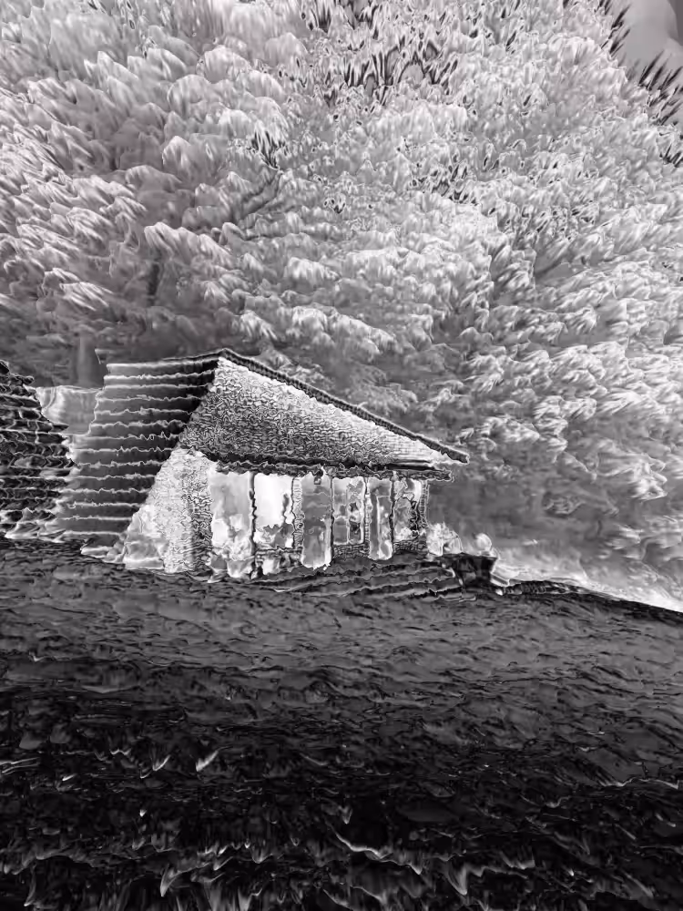 The Shack