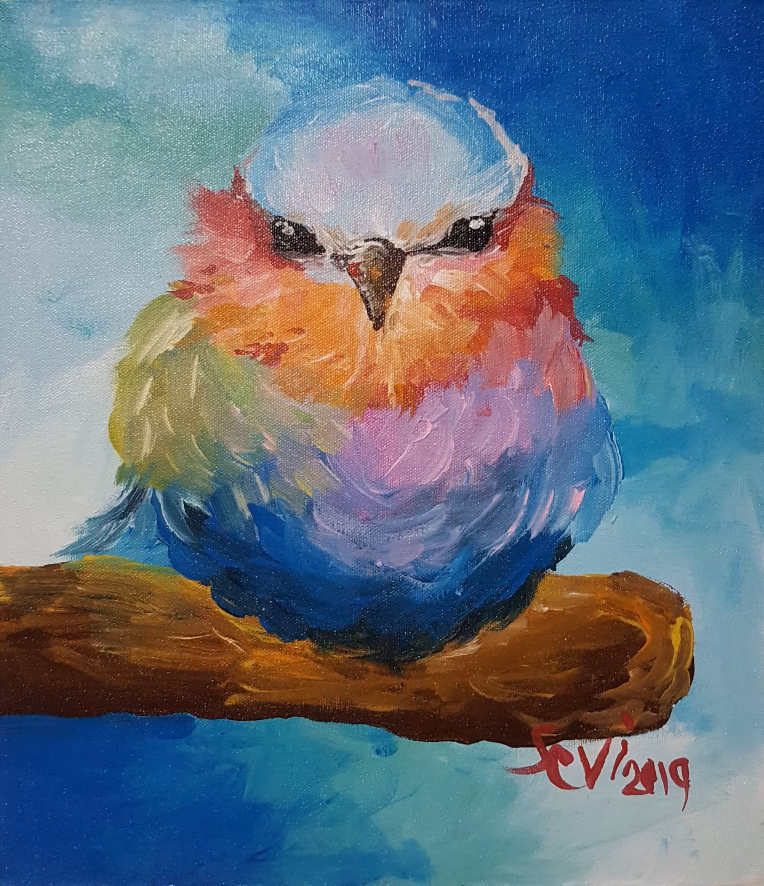Colorful Fluffy Bird