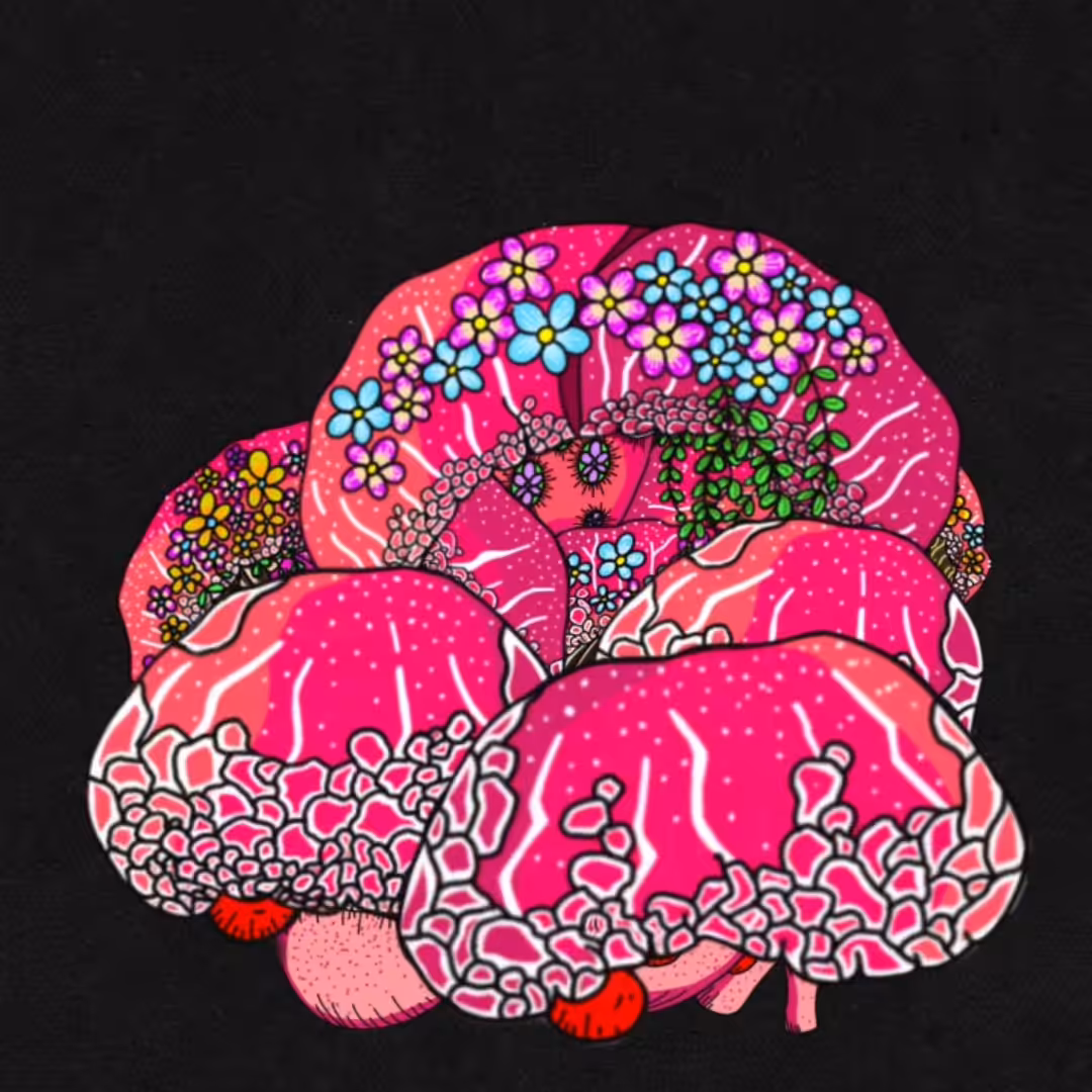 Maiko Mushroom