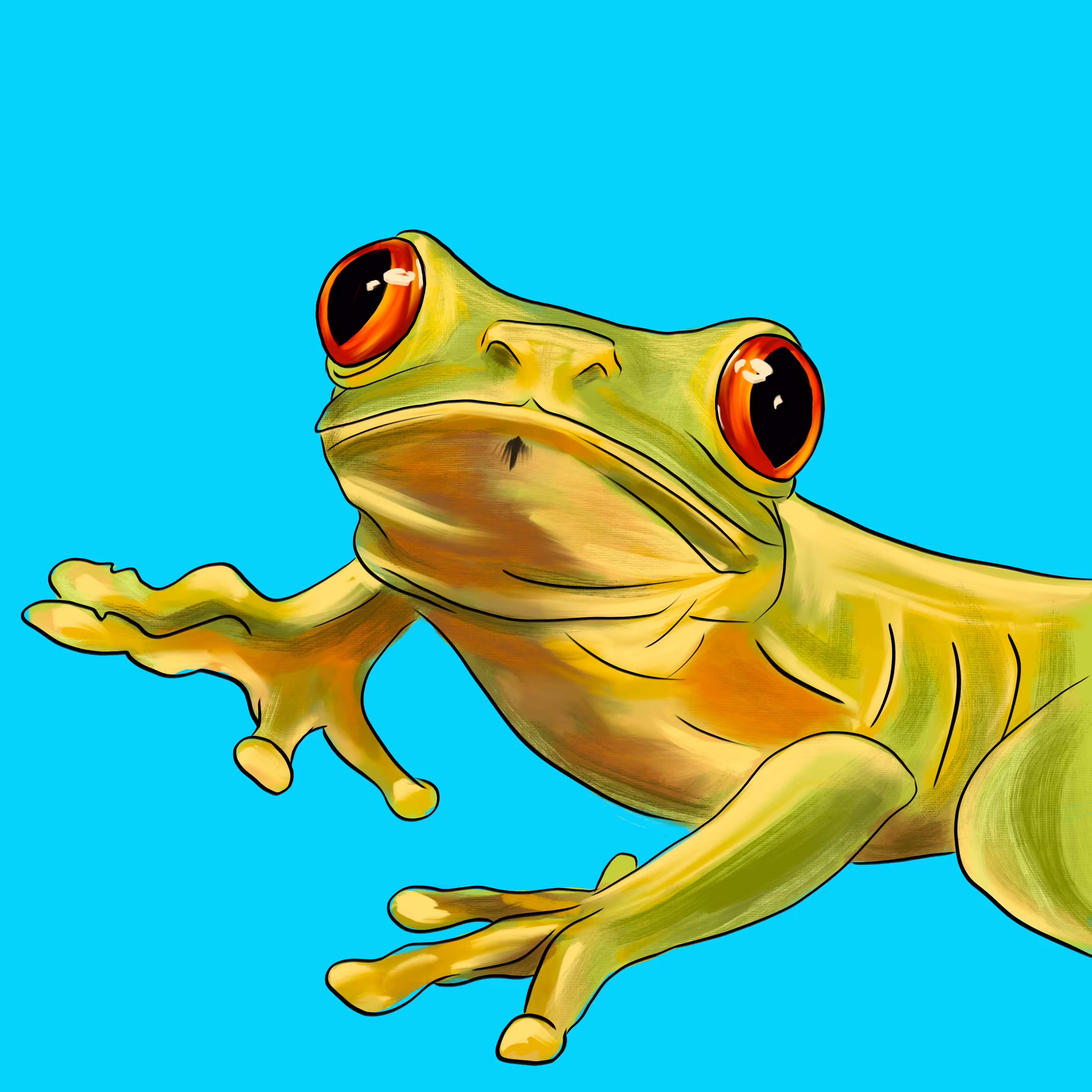 fxFrog #42