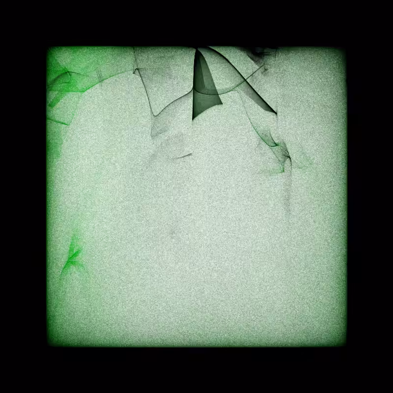 Bifurcation #86