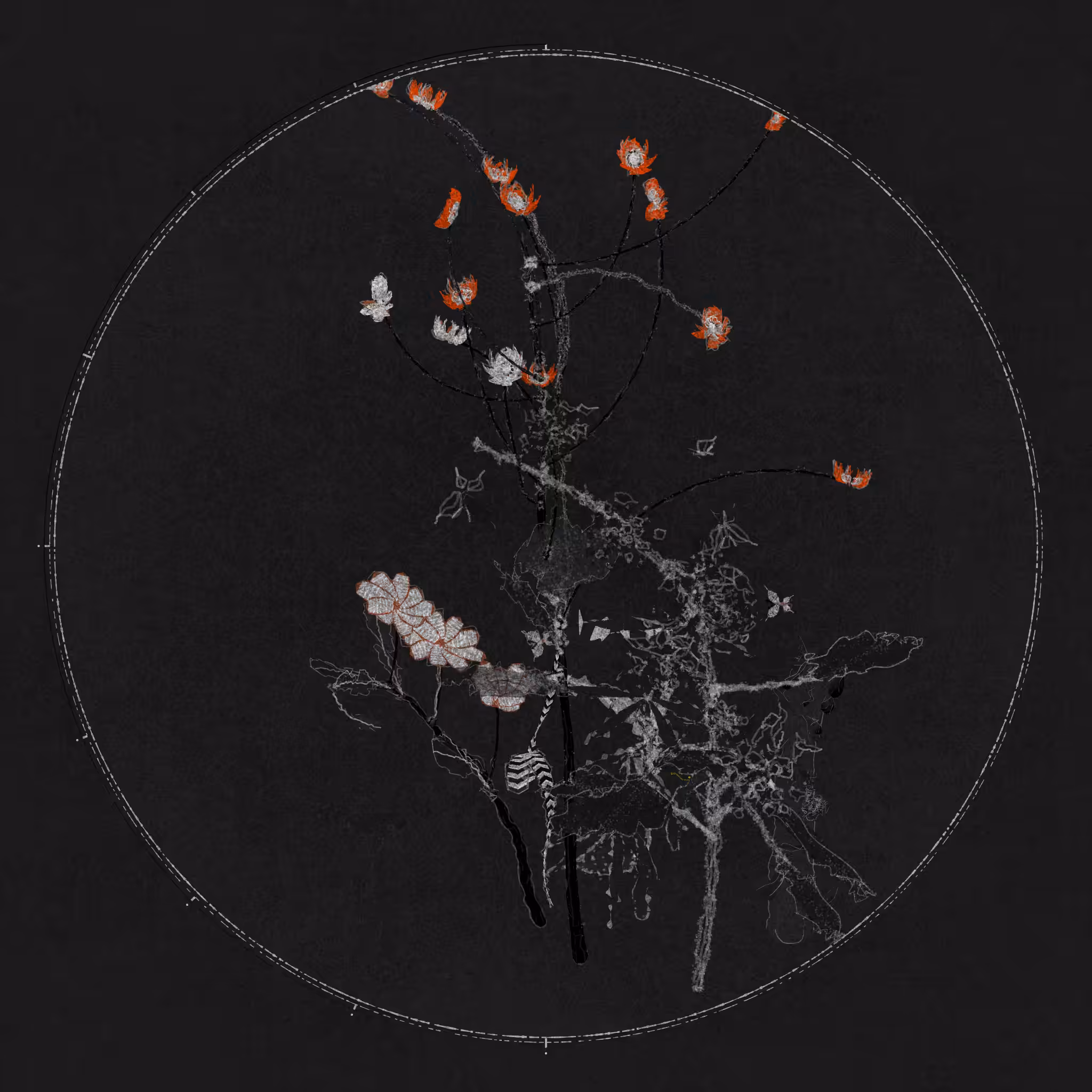 Polypaths | 植徑集 #613