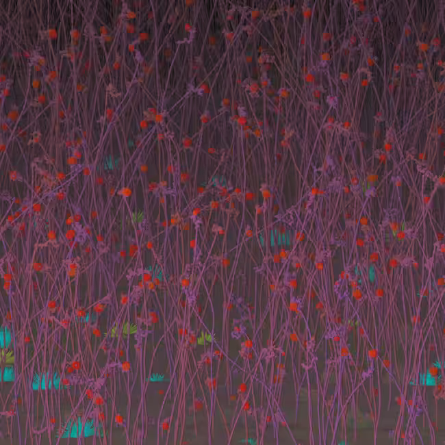 THE GARDEN OF DELIGHTS #9