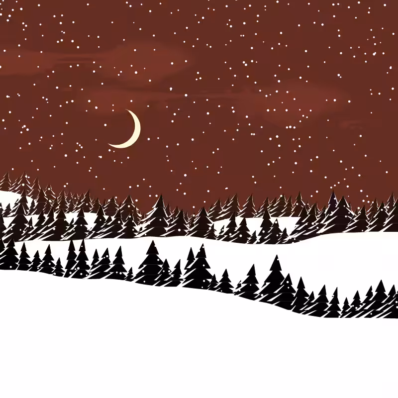 Winterland #104