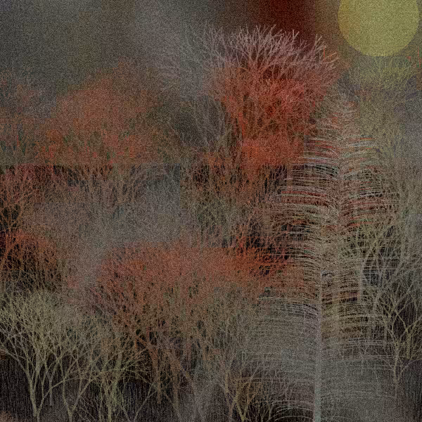 Moonlit Native Bush #122