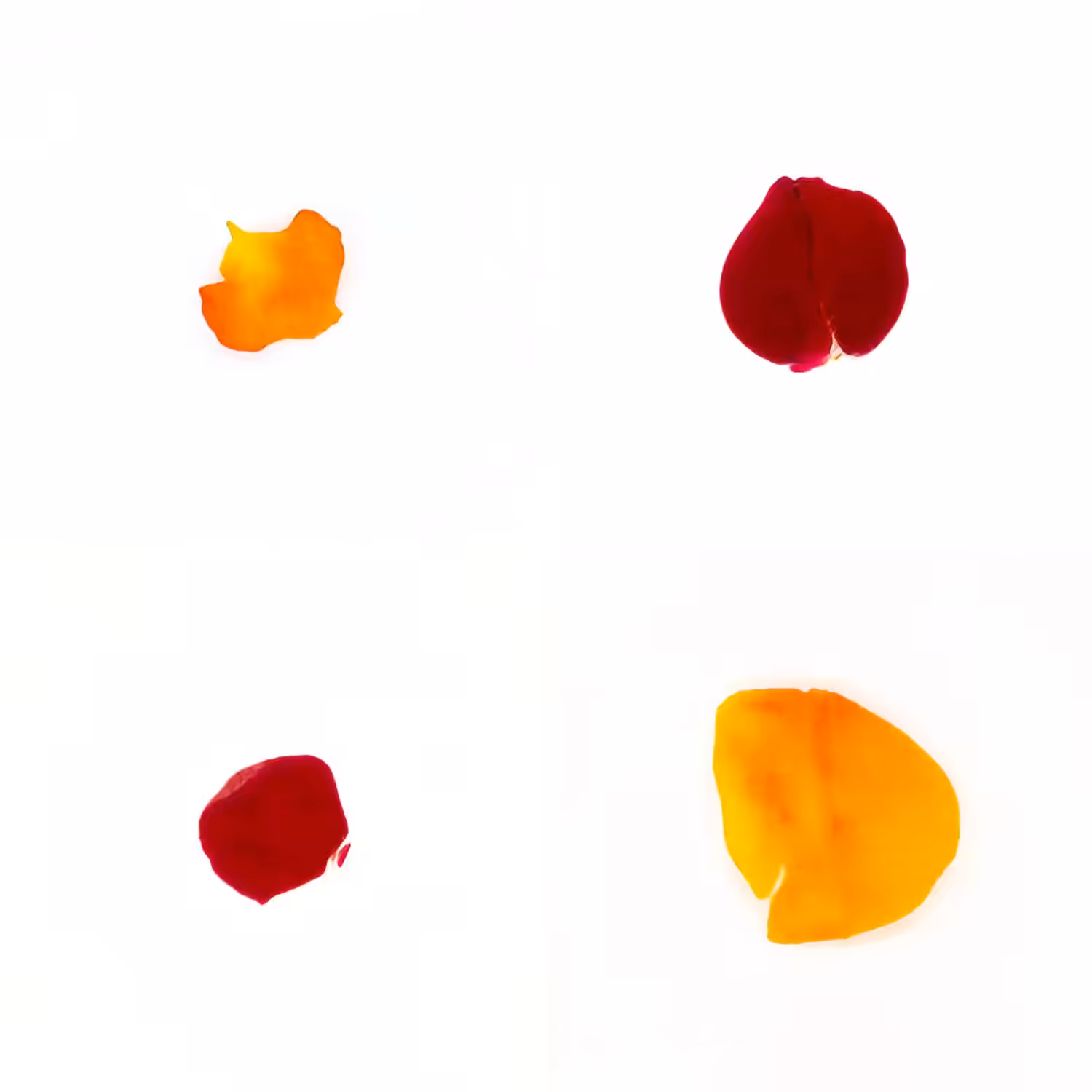 Infinite Petals 2x2#20464