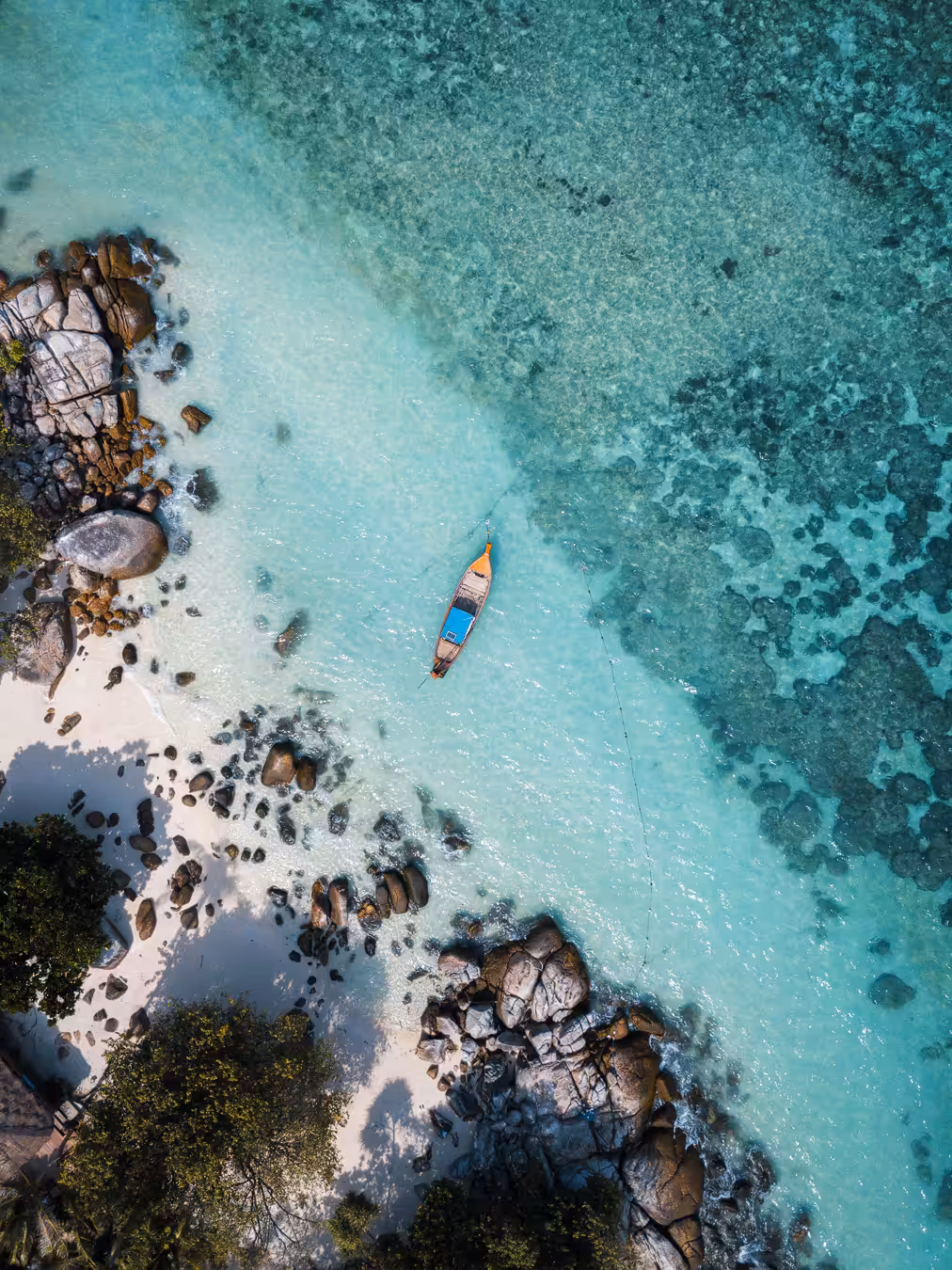 Tropical Vibes #12 ( Serendipity )