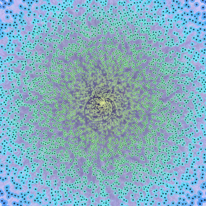 Primes #8