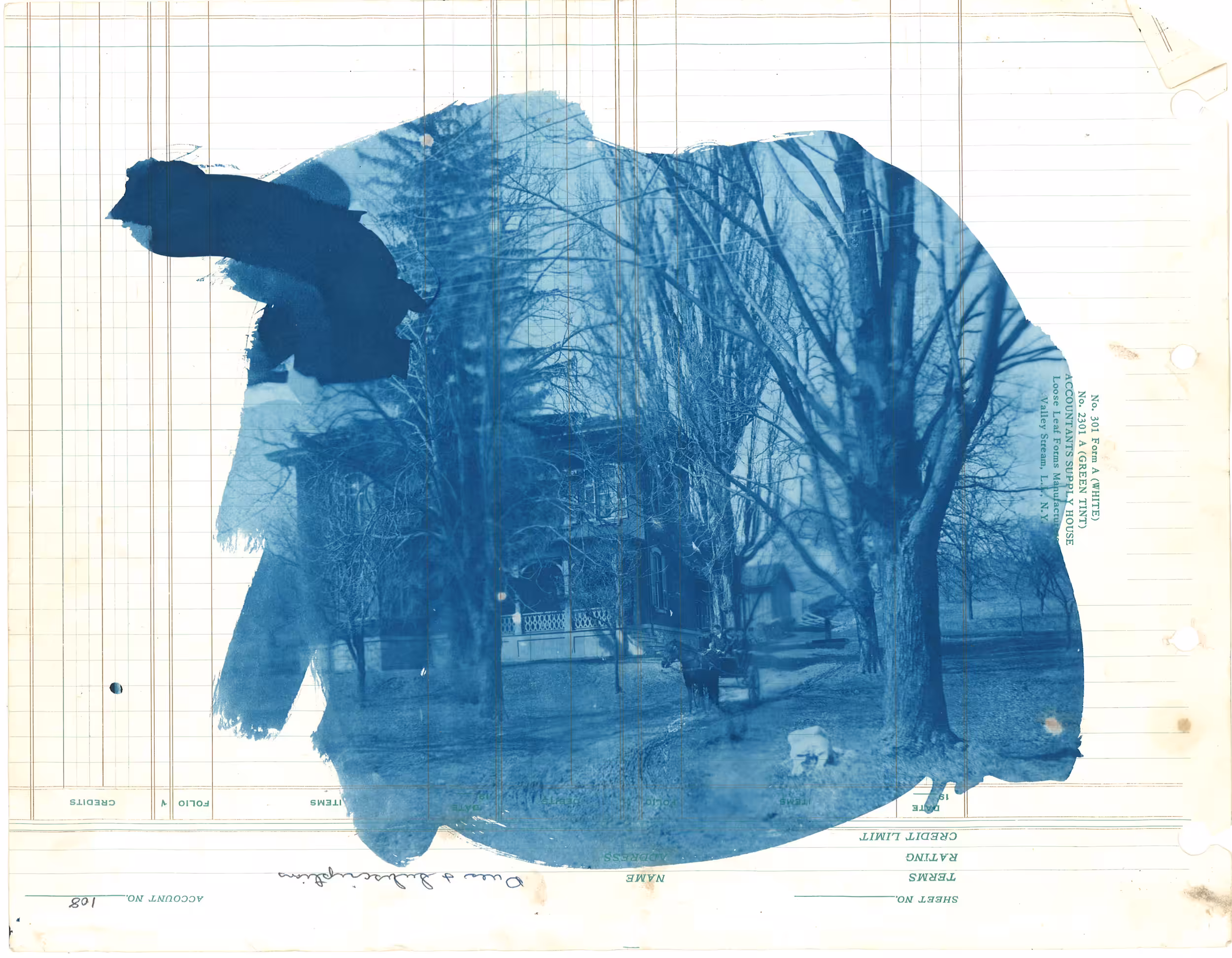 Cyan #3
