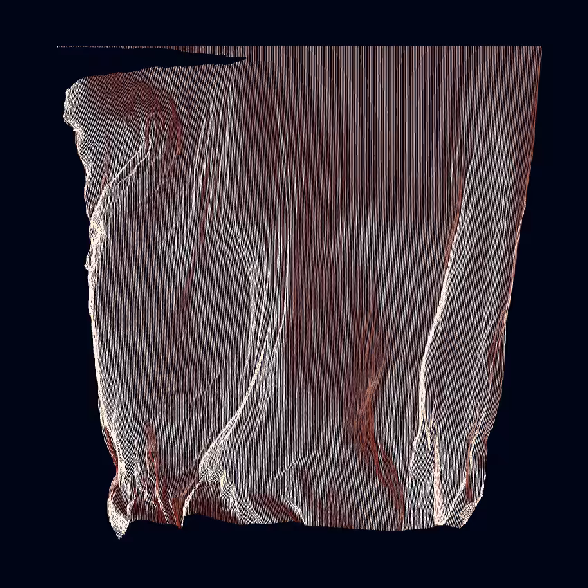 Fibril #304