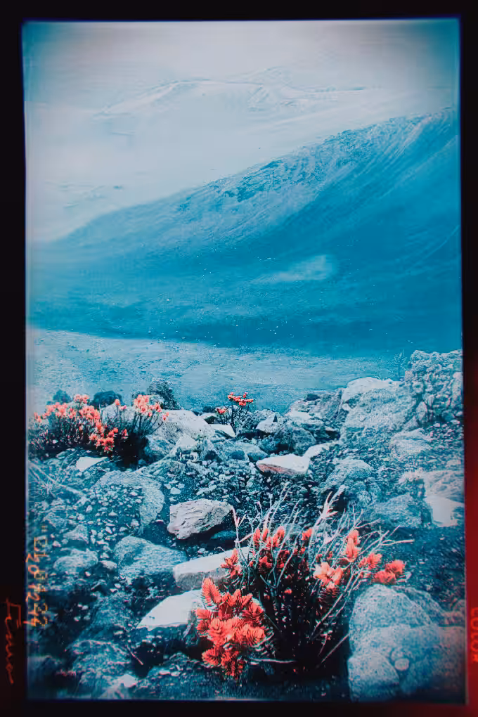 Mars//Life