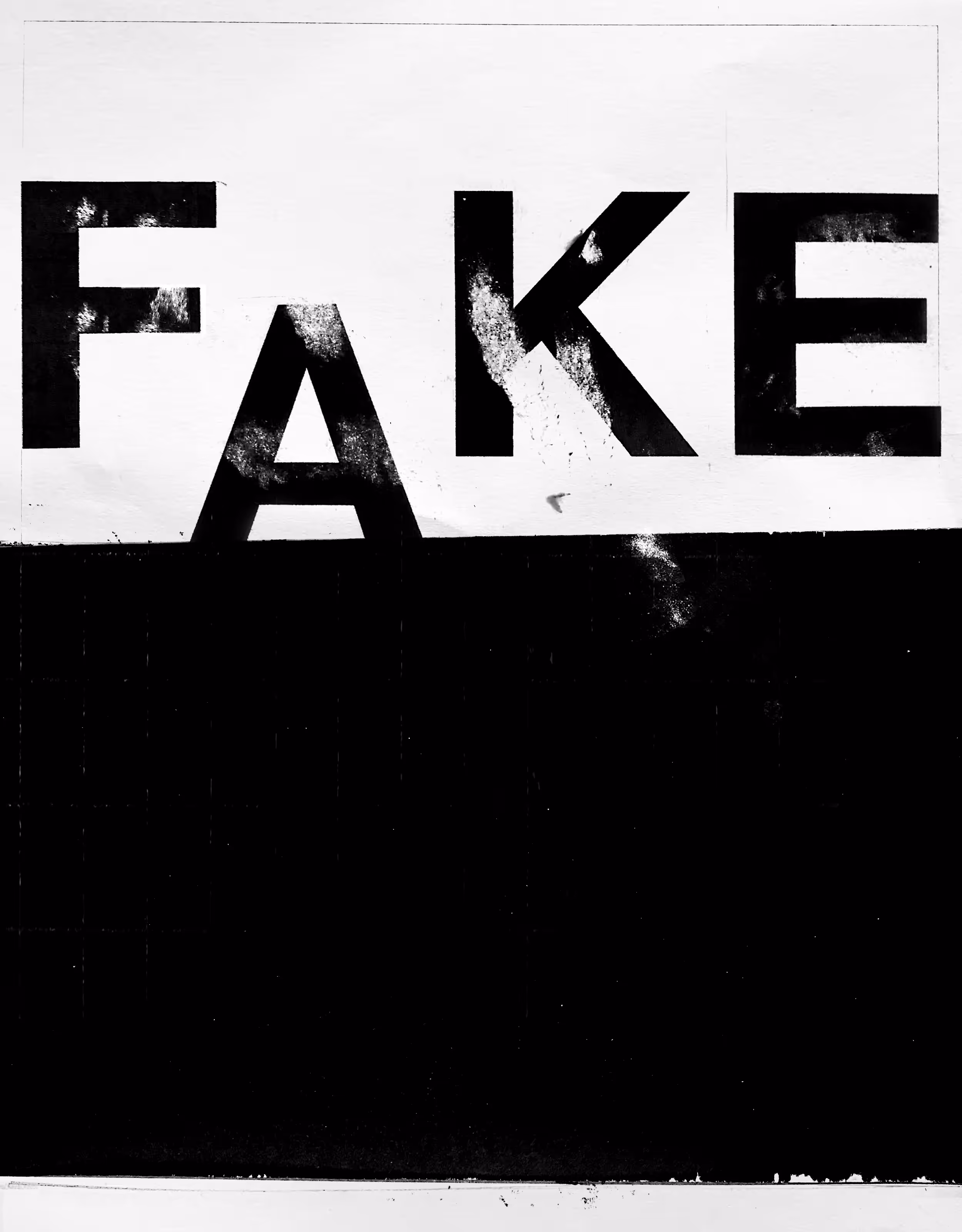 Words 17 - Fake