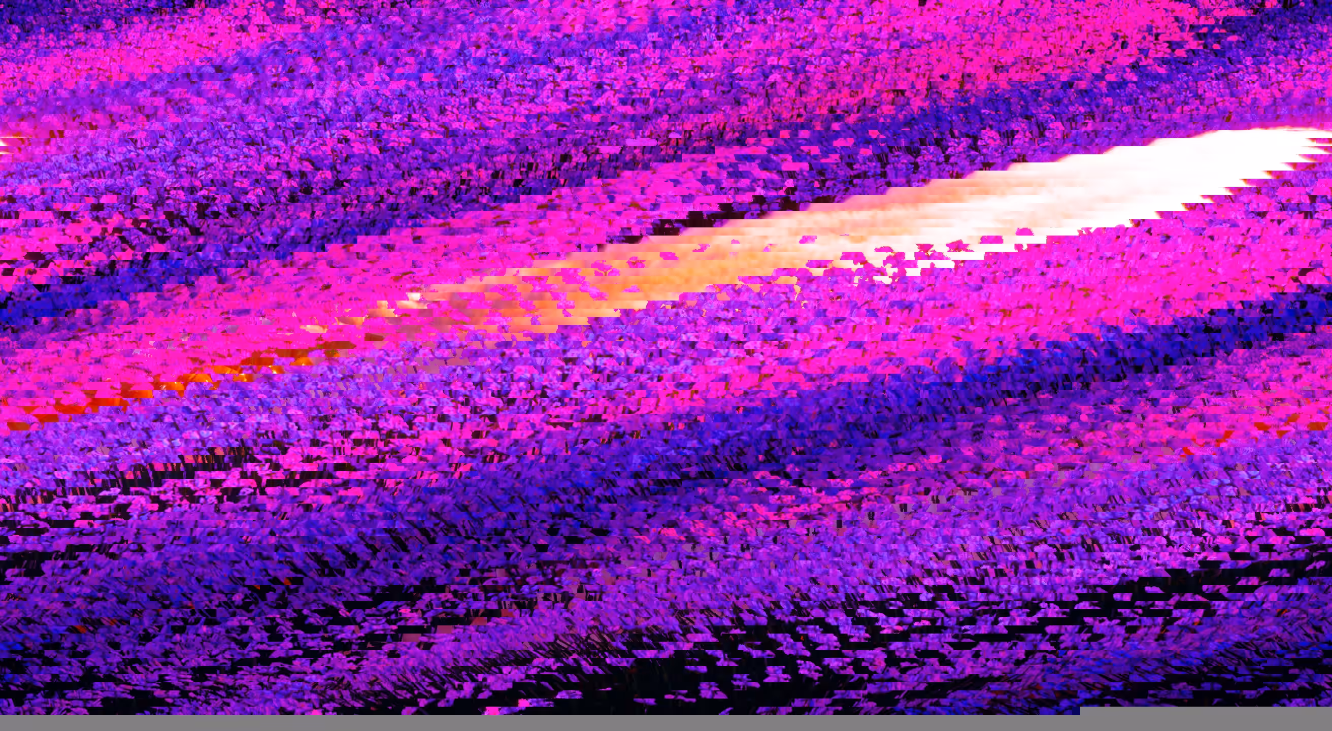 2024 12 31 17 14 44 984160 (Lavender3)