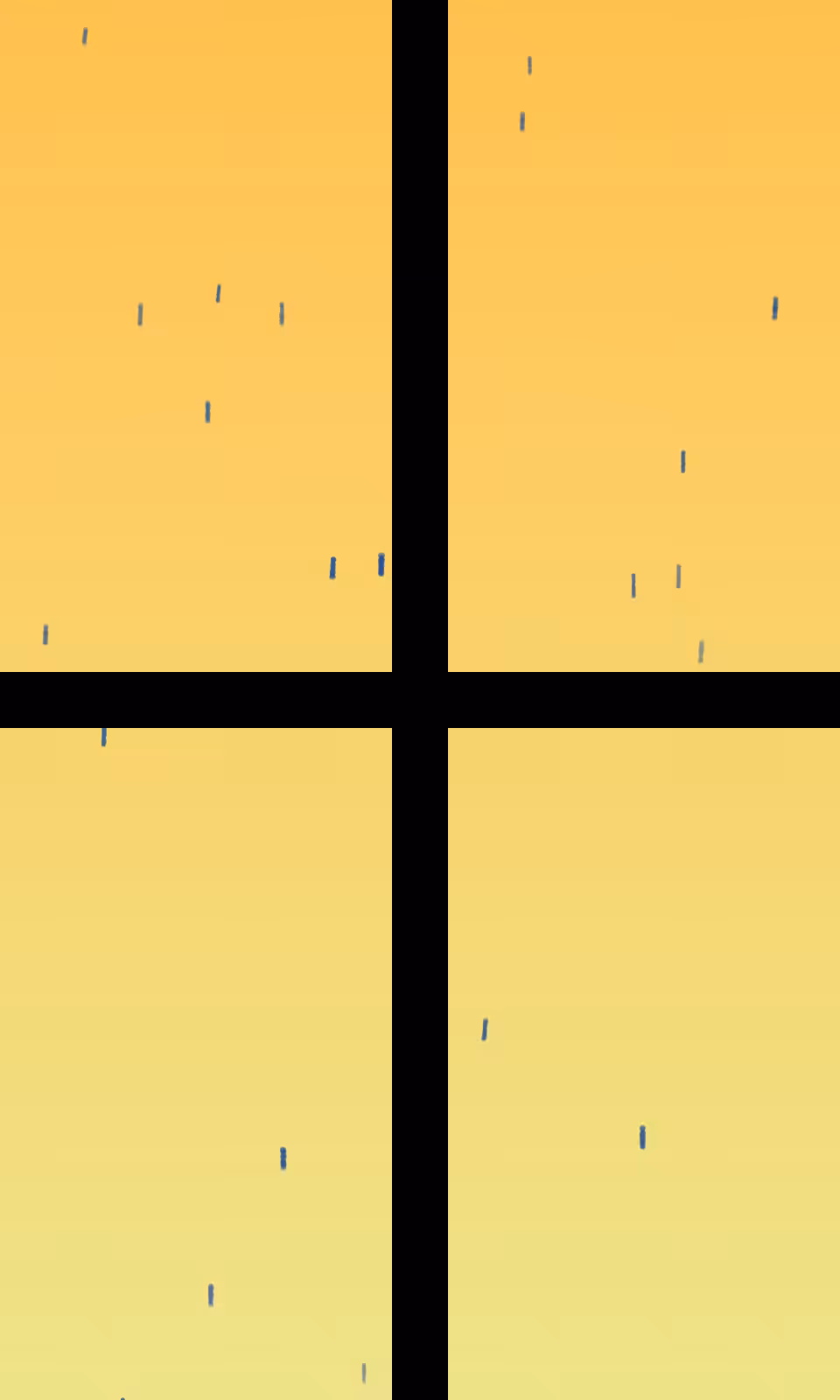 Outside your Window #39