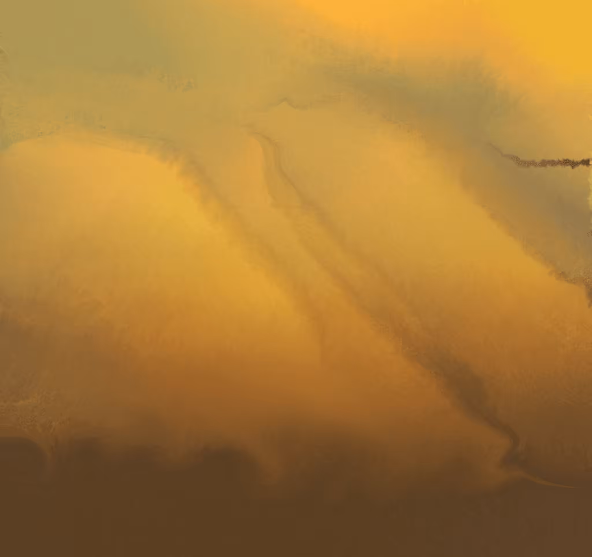 Dune