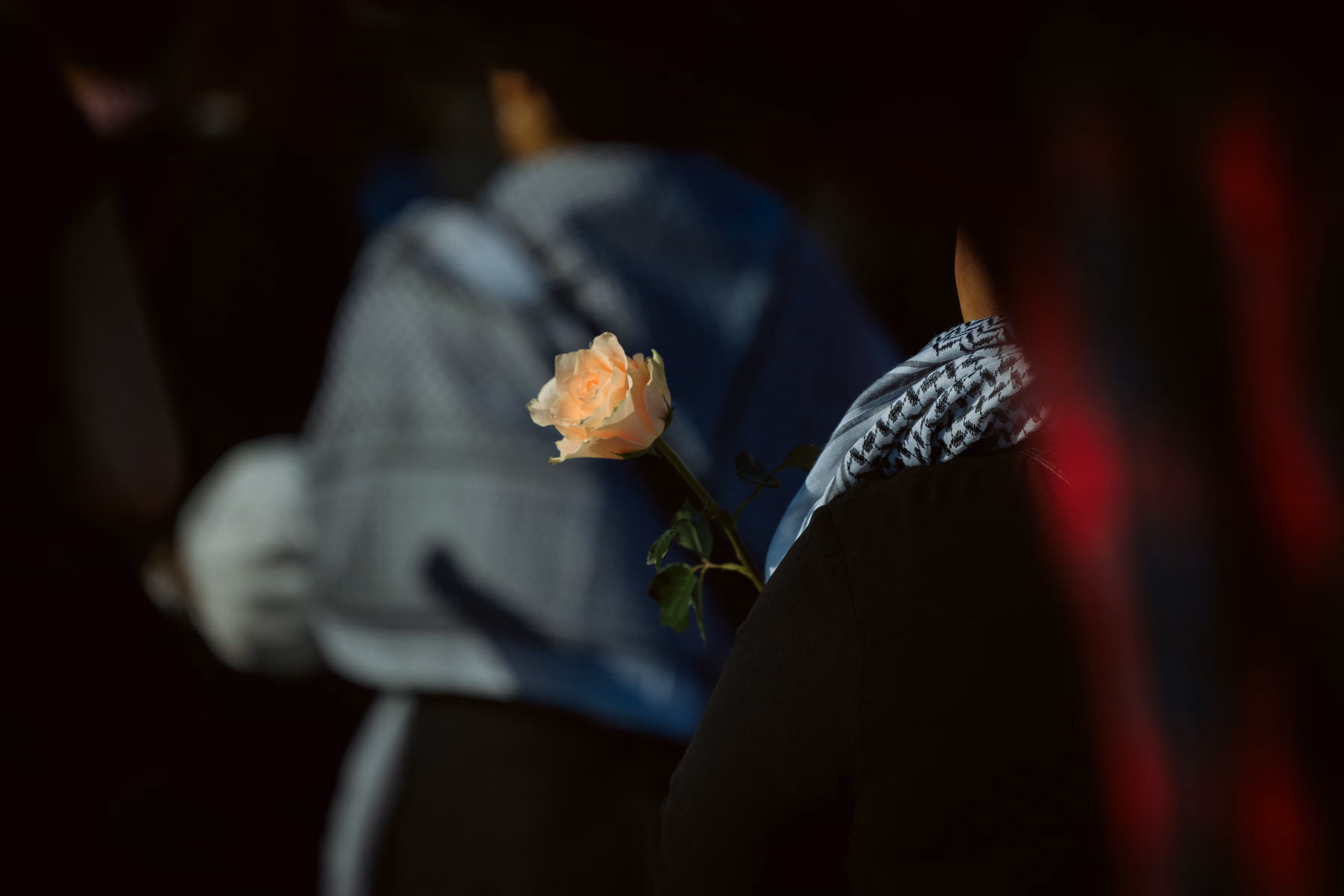 Rose from the Rubble