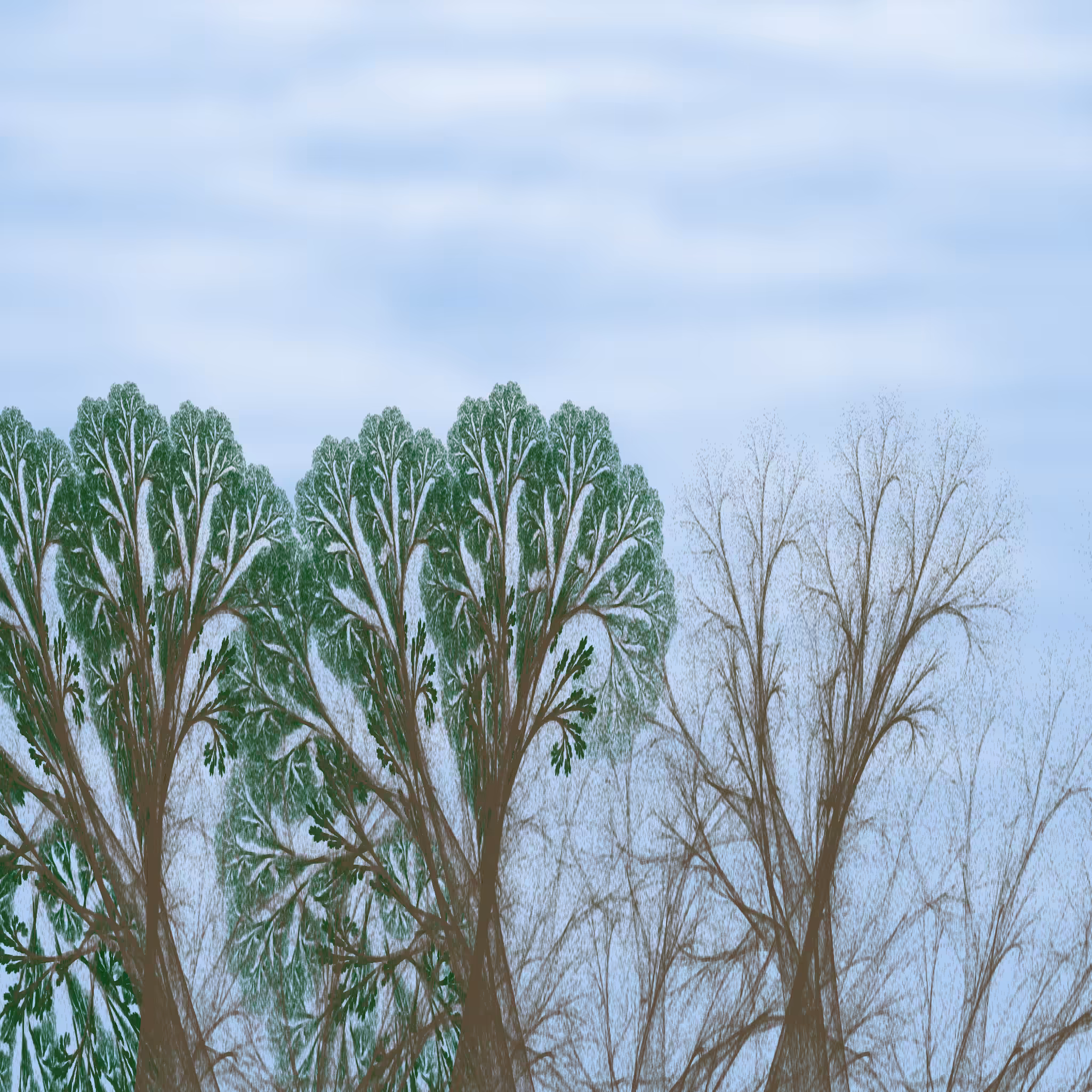Chaotic Treescape #15
