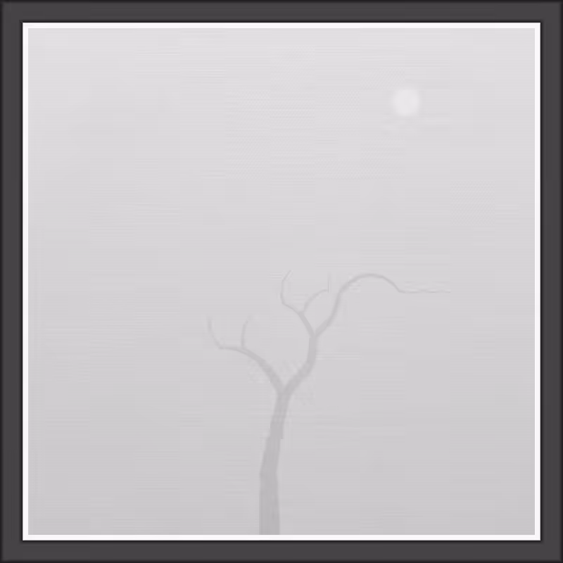 The Foggy Trees #73