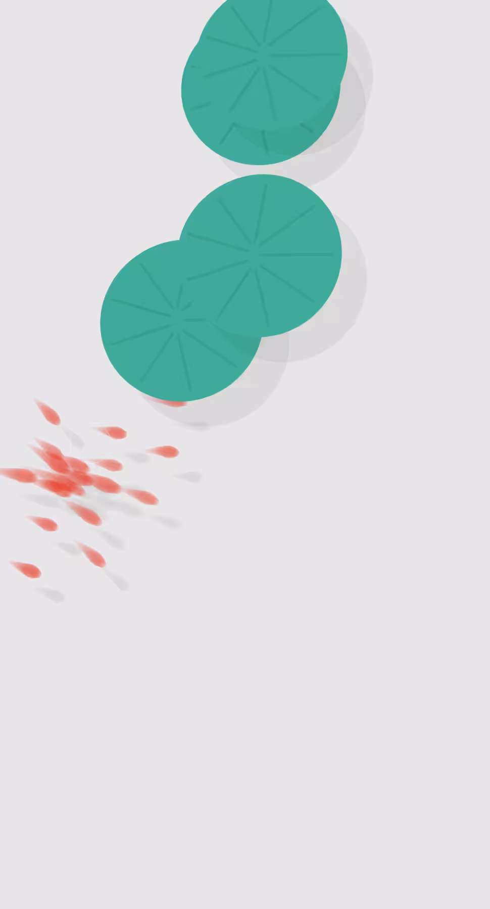 Fish playing among lotus leaves #2