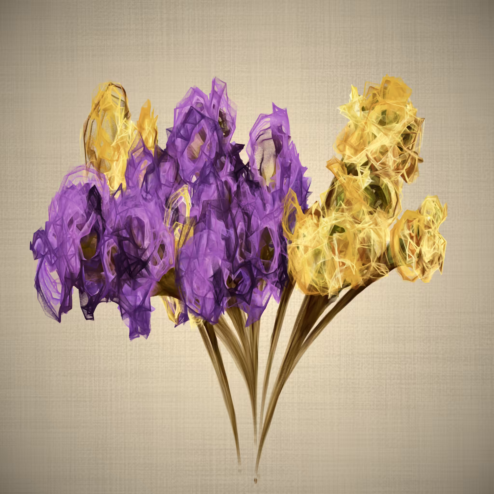 lilium #5