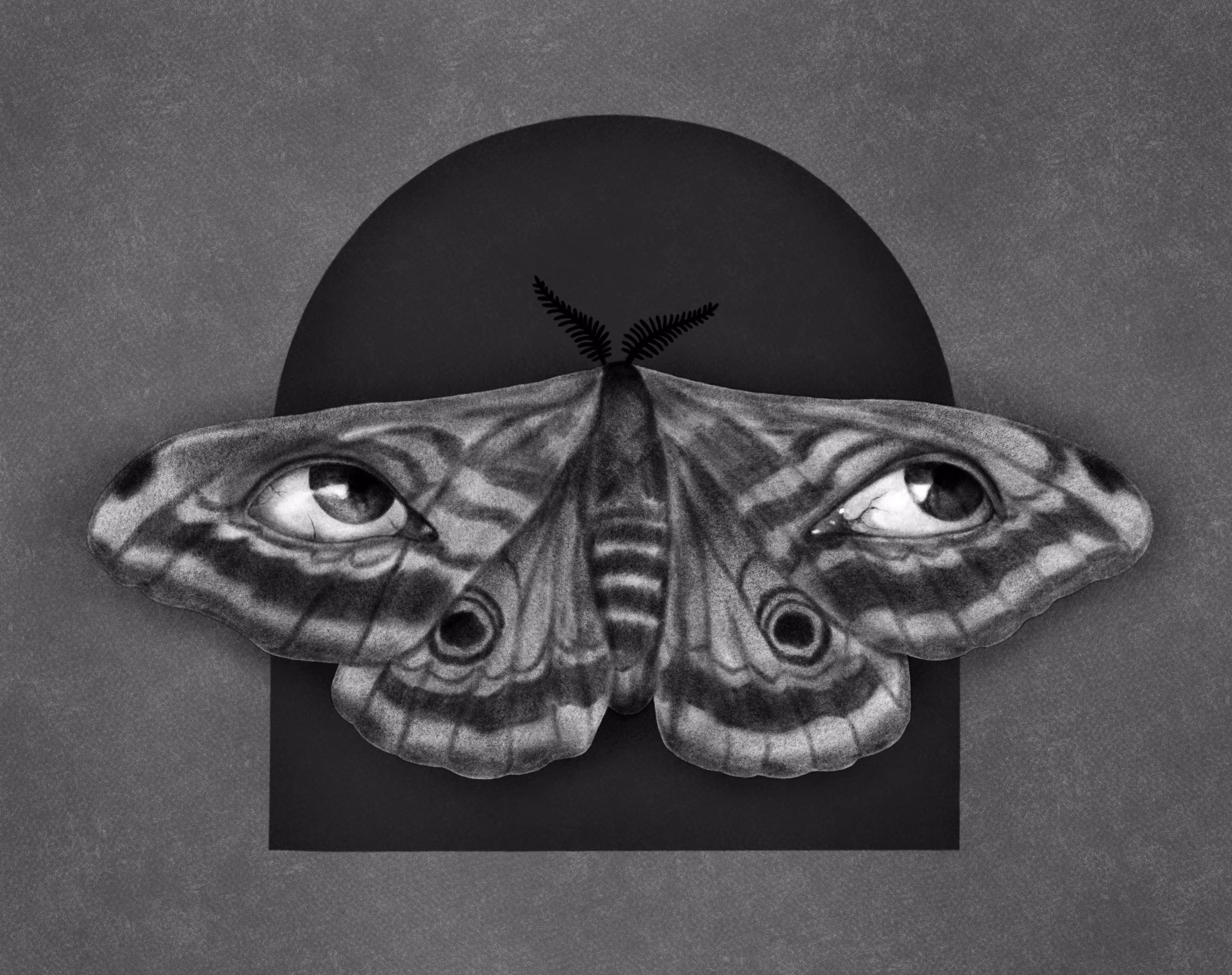 Eye See You
