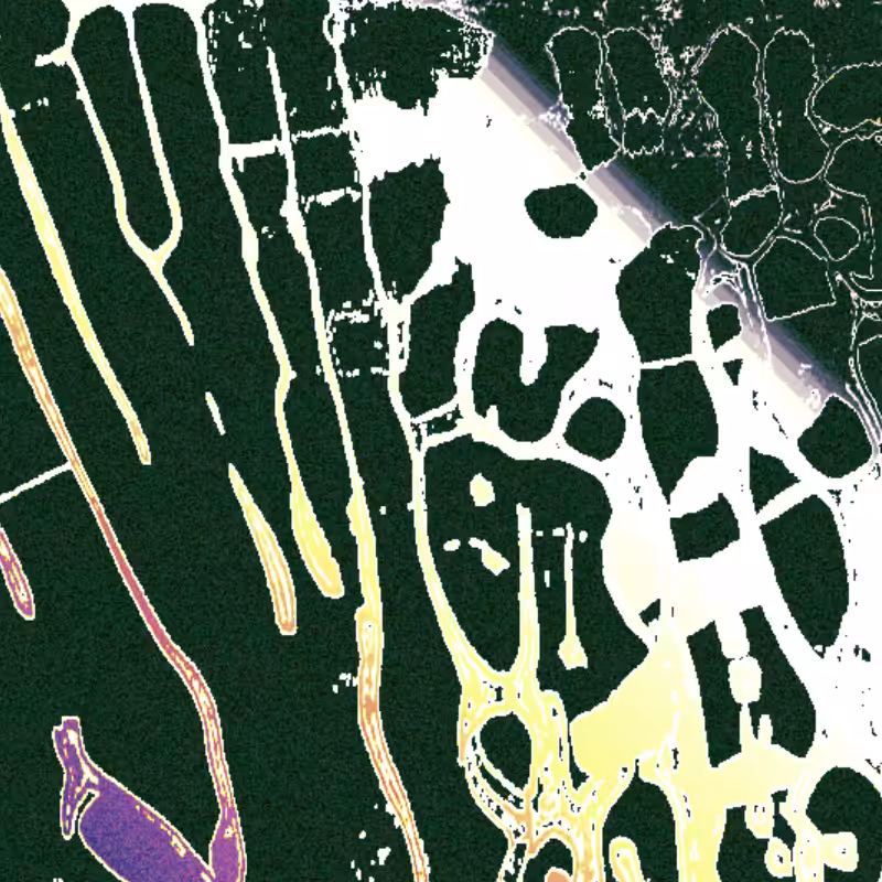 currents #116