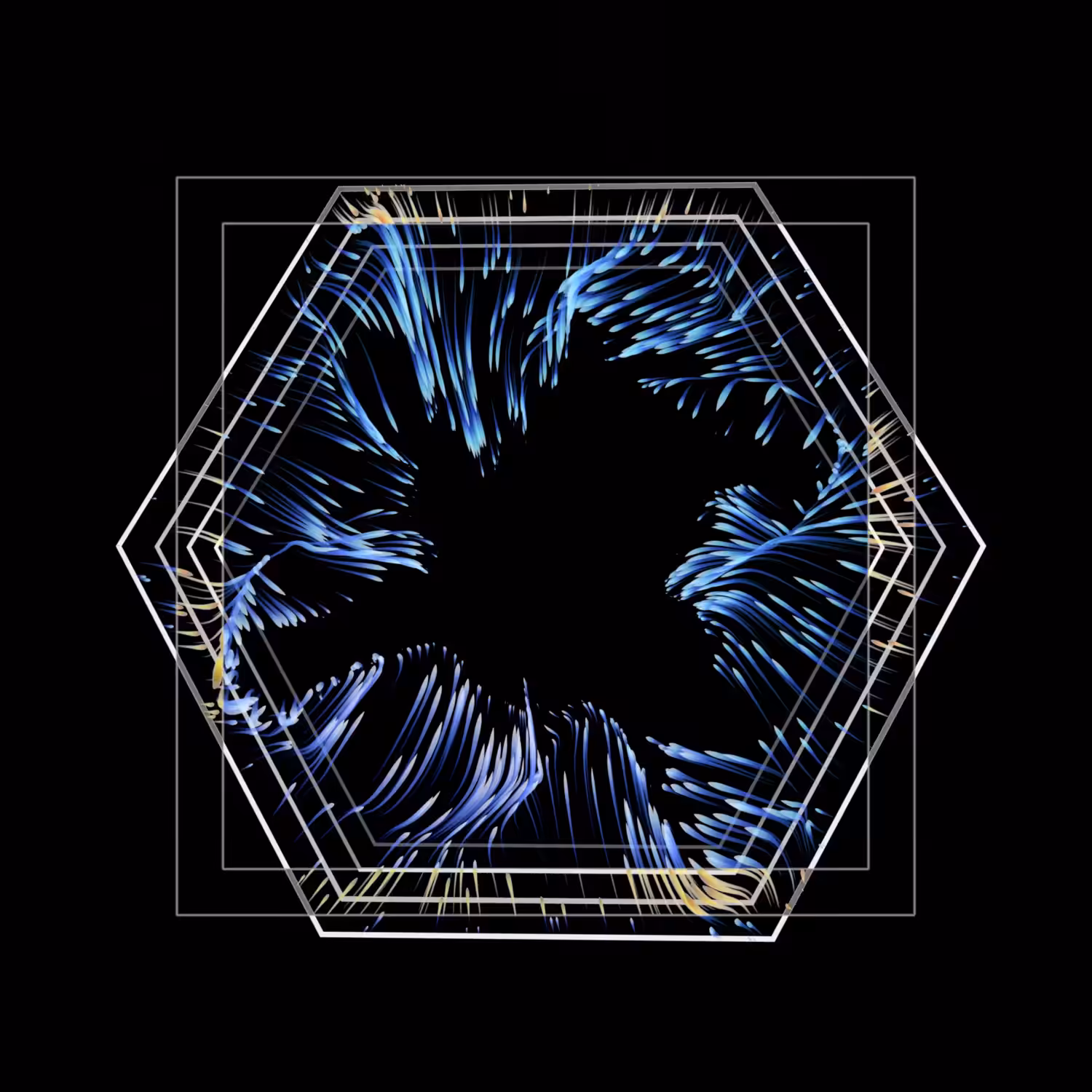 Vortex #1161