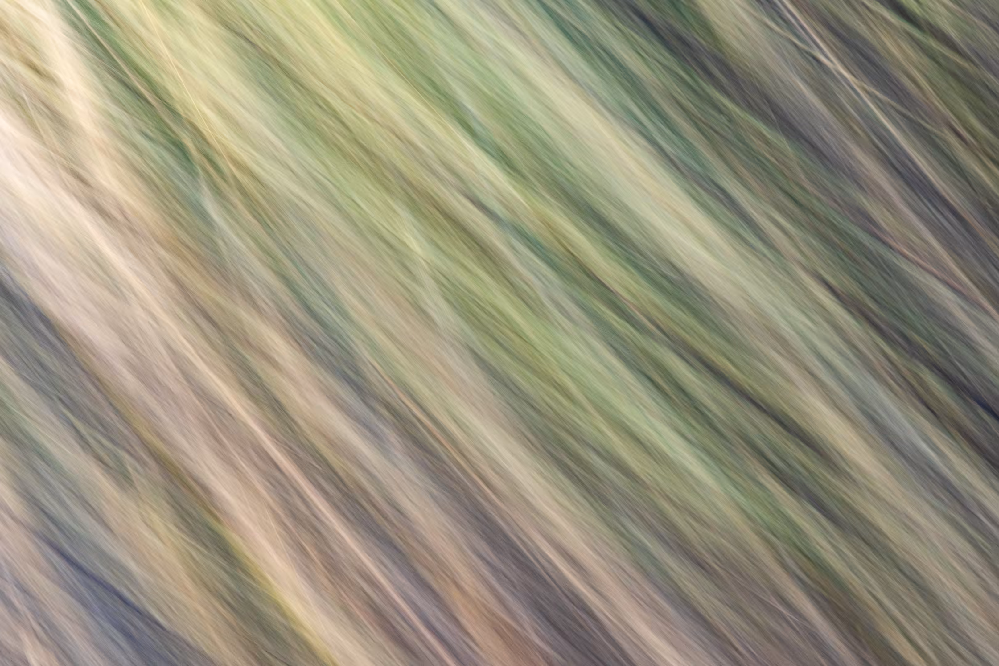 The Ghosts of Elowah #18