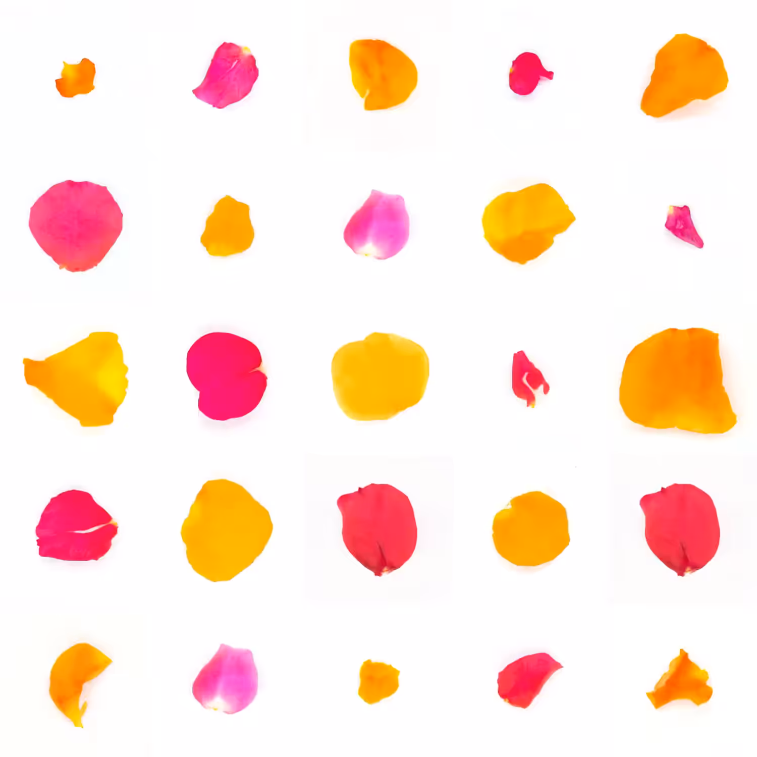 Infinite Petals 5x5#20995