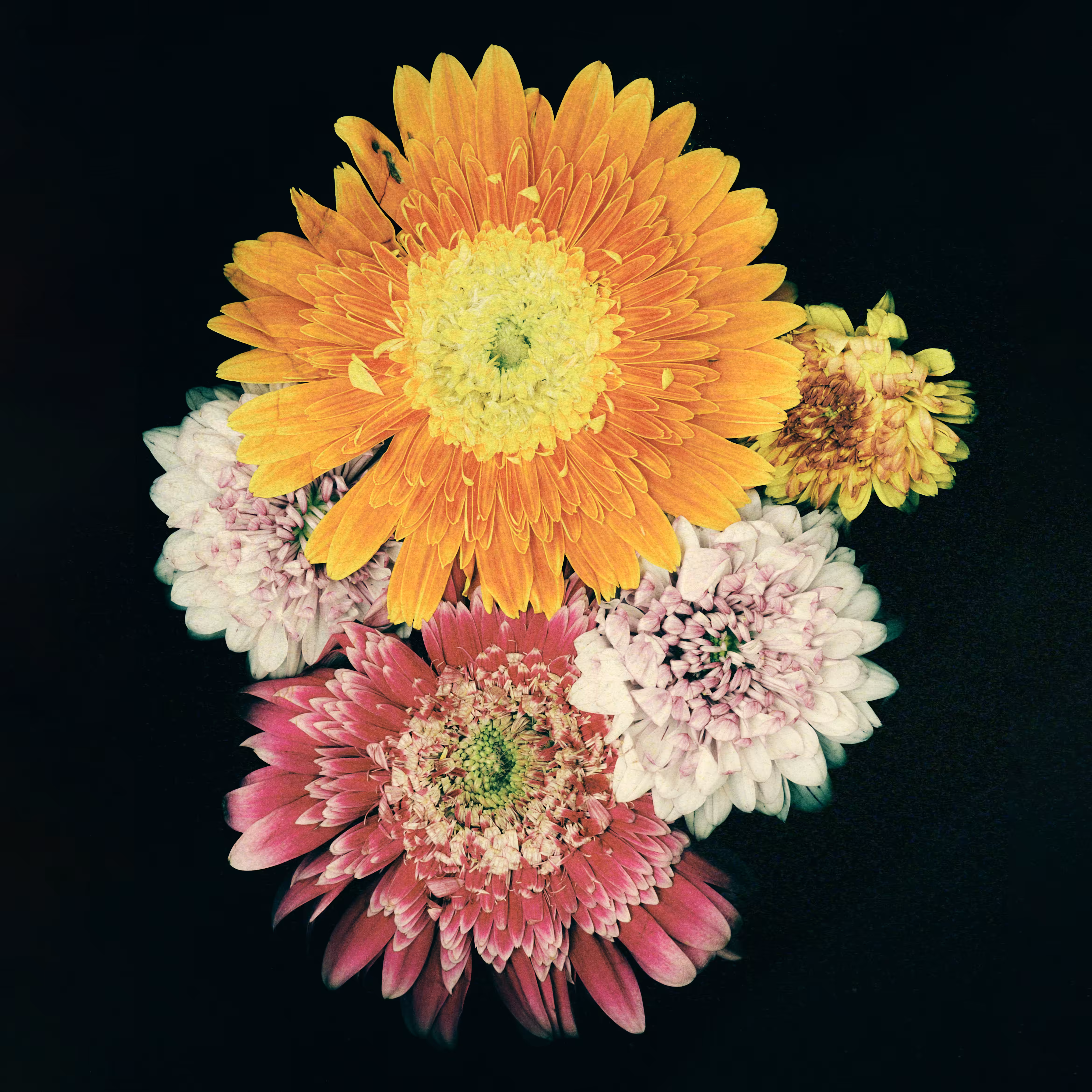 Floral Still Life 001