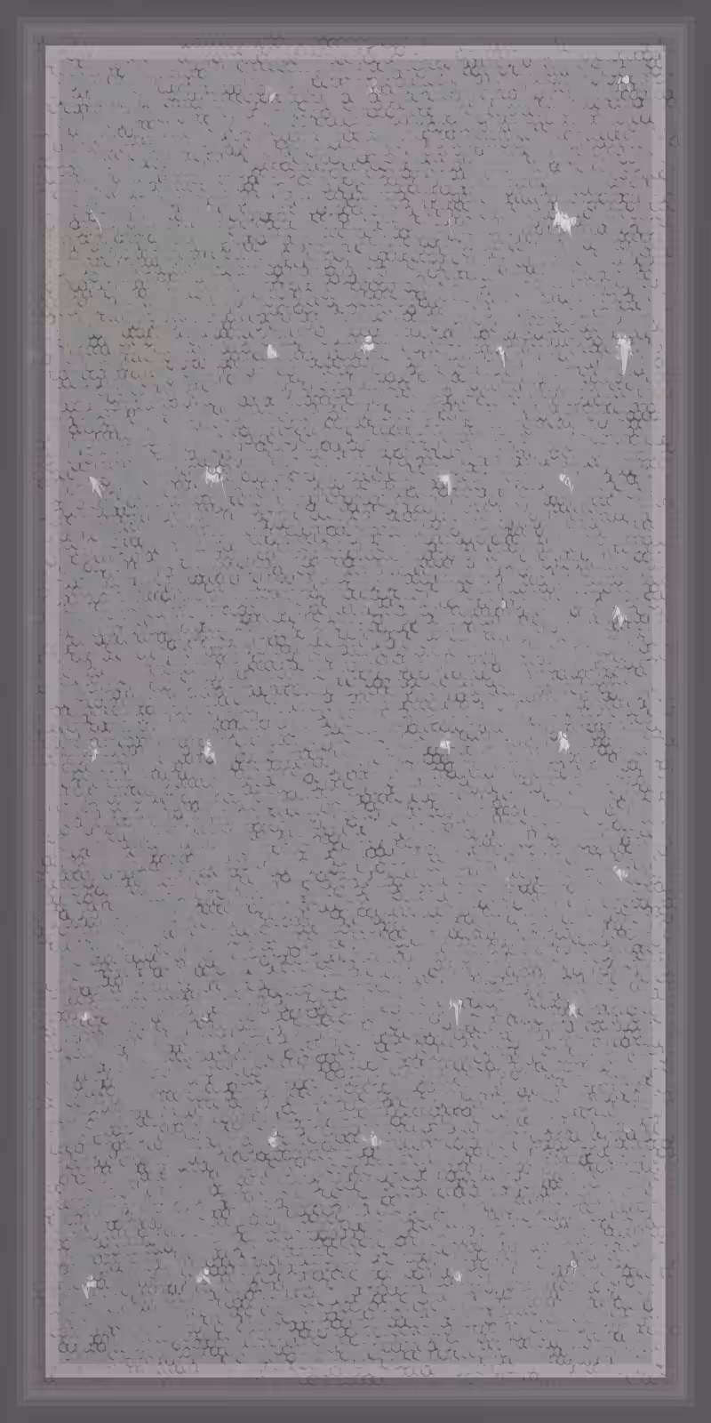 Glimpse Of Draeconian Epidermis & Tapestry #101