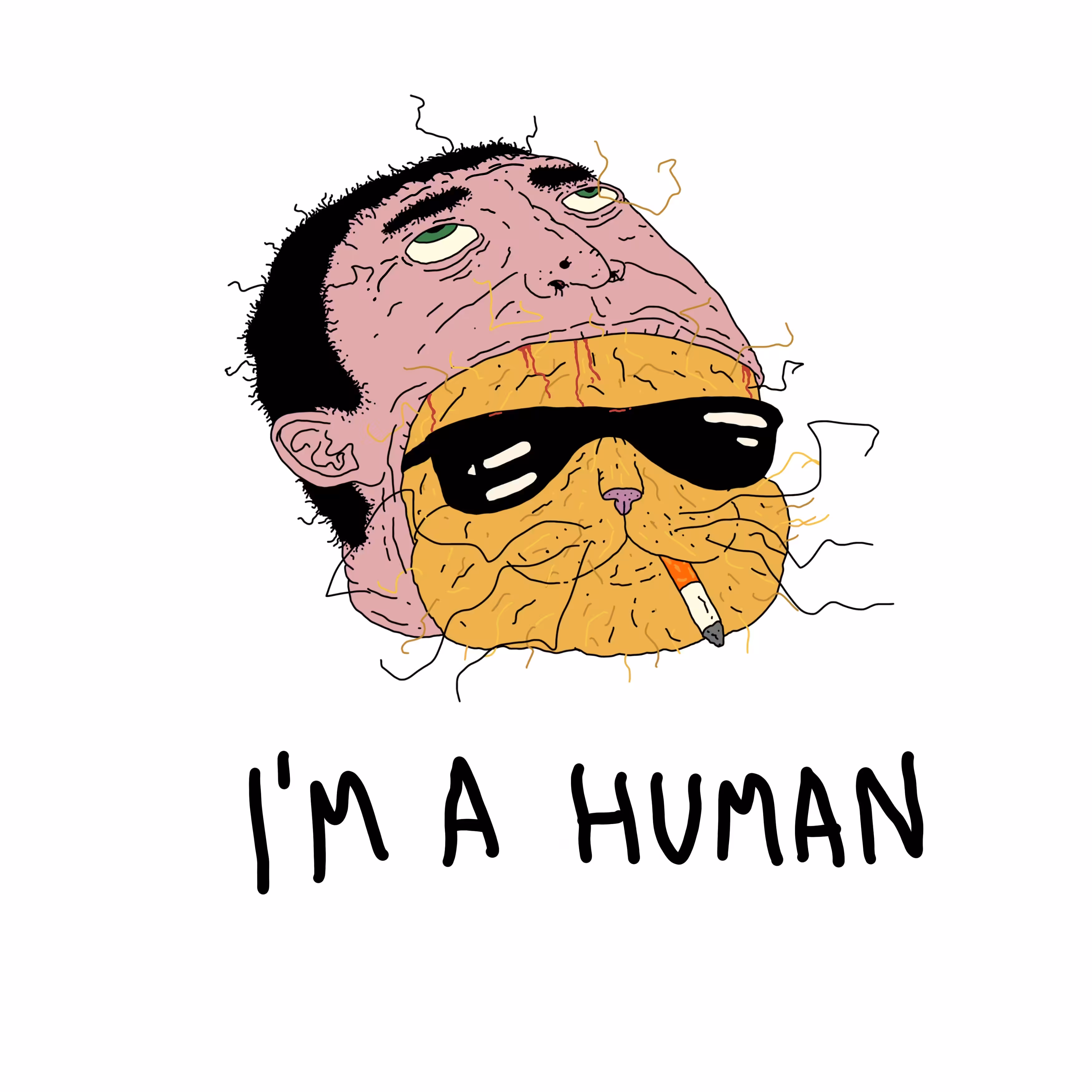 I am a human