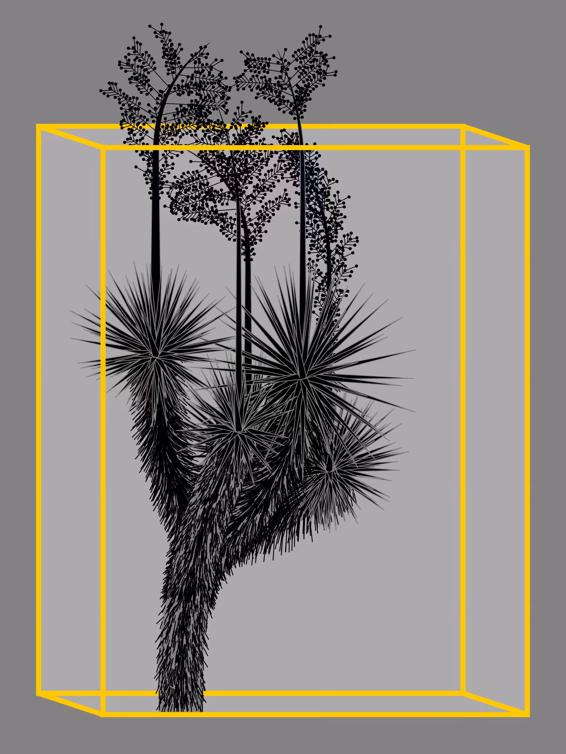 Marfa Yucca #98