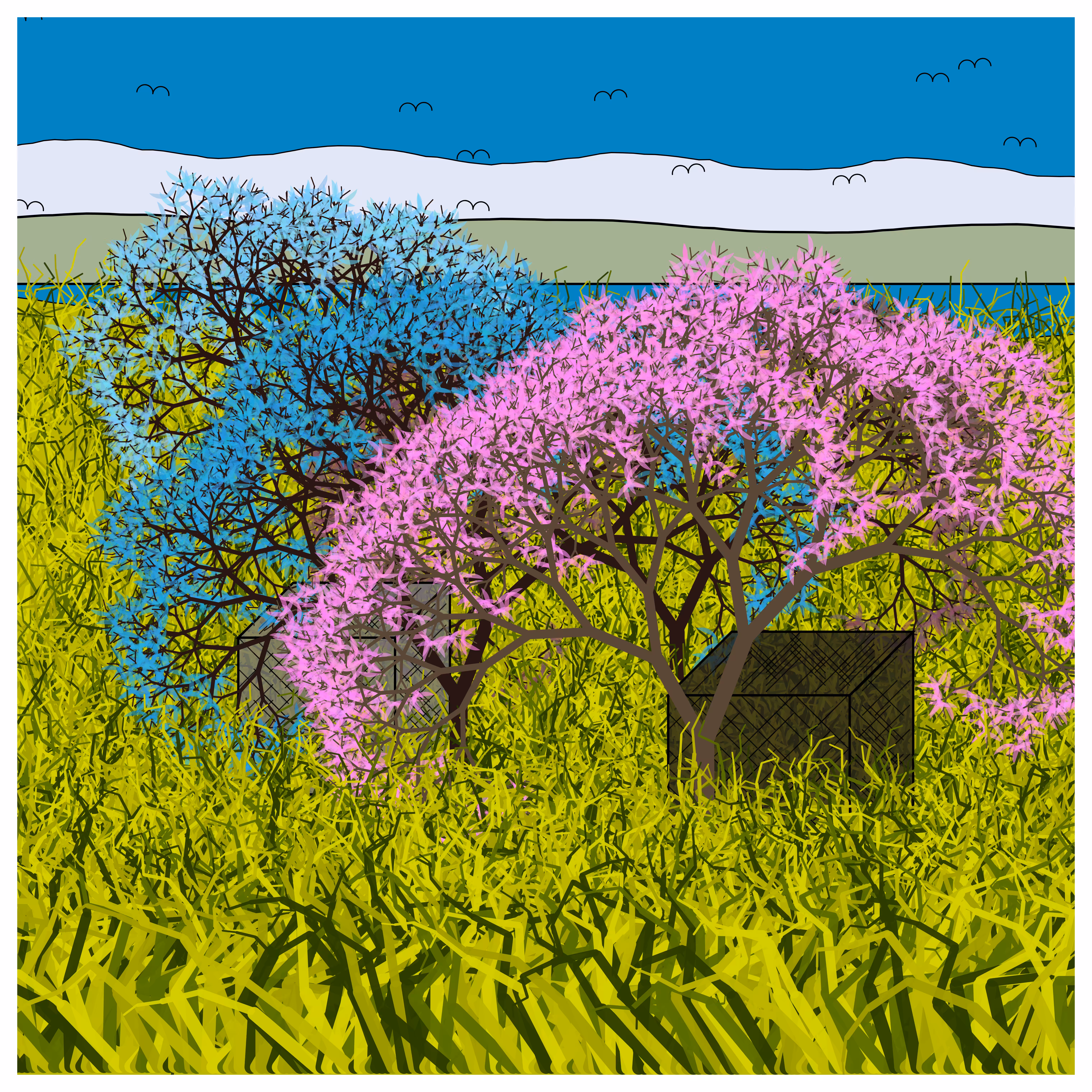 Cube Forest #114