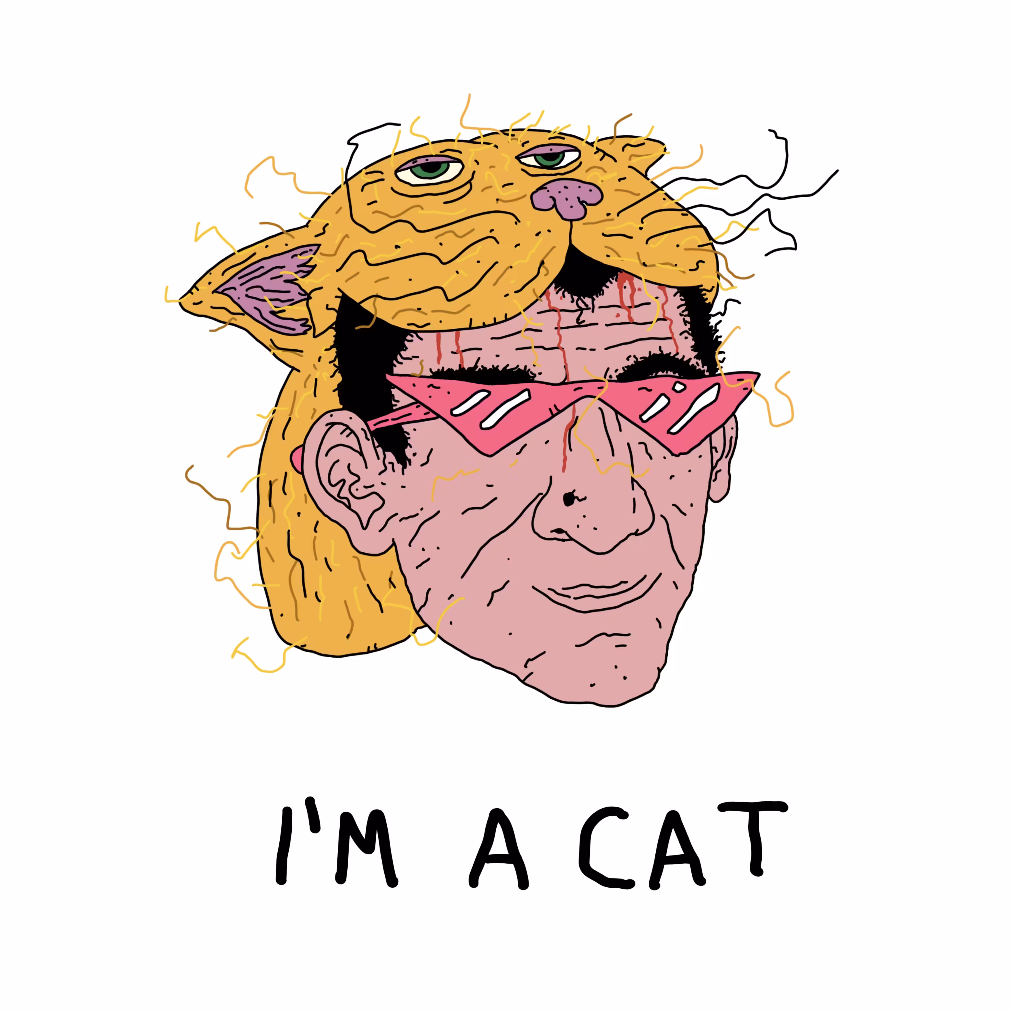 I am a cat
