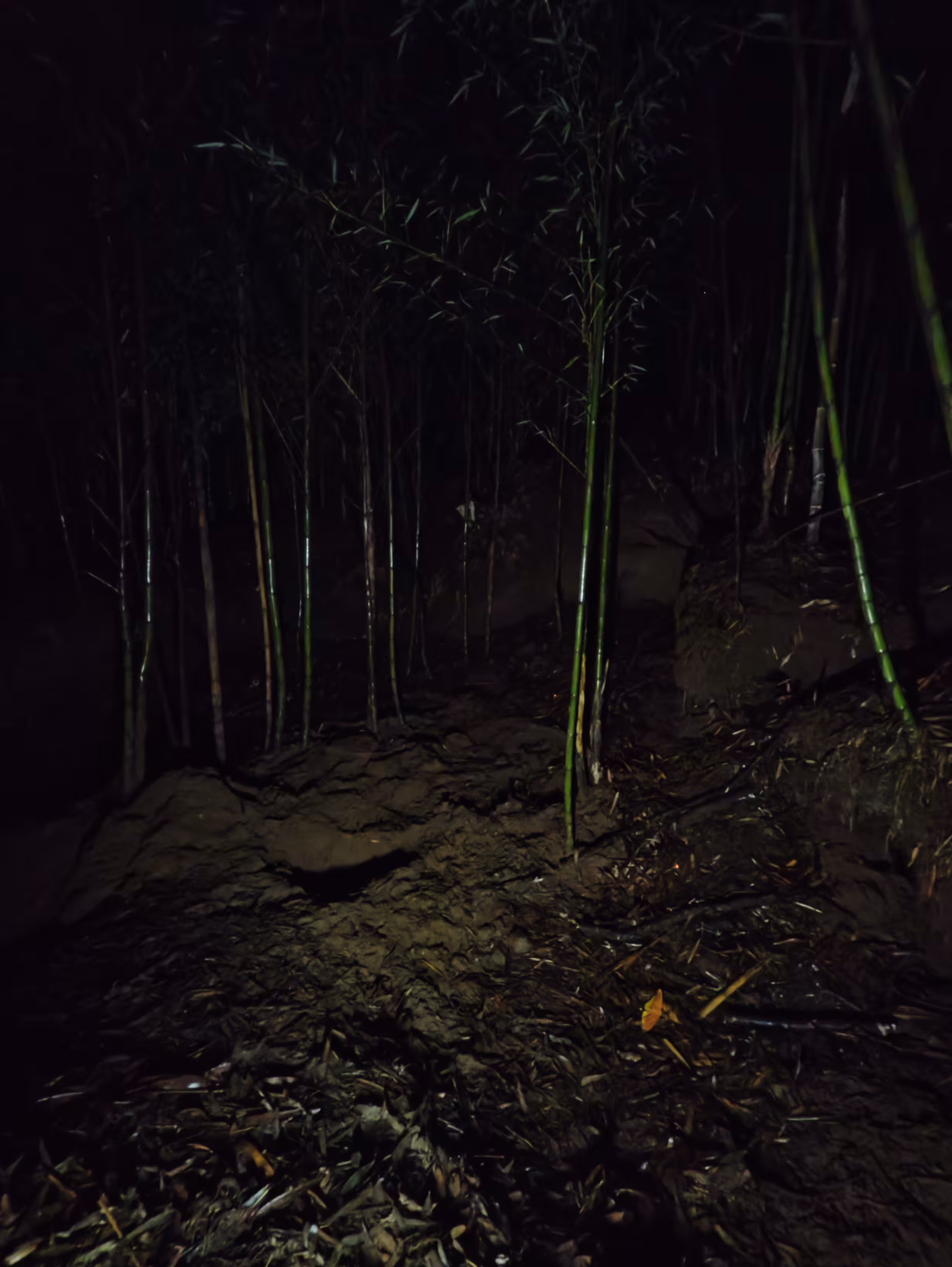 Materia Oscura: An Open Wound of Silence