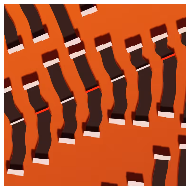 Neural Collapse #139