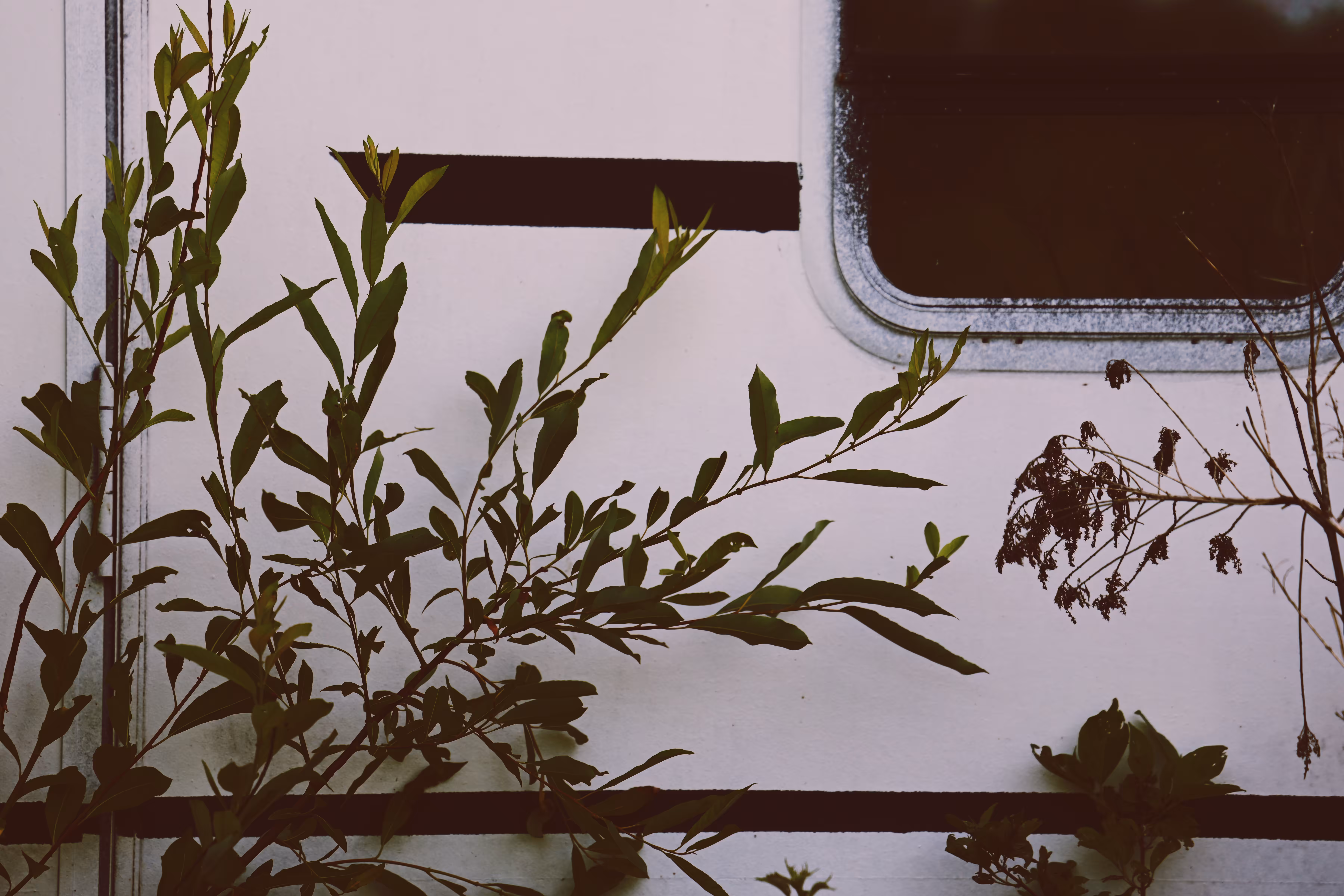 _broken thoughts: _on the run