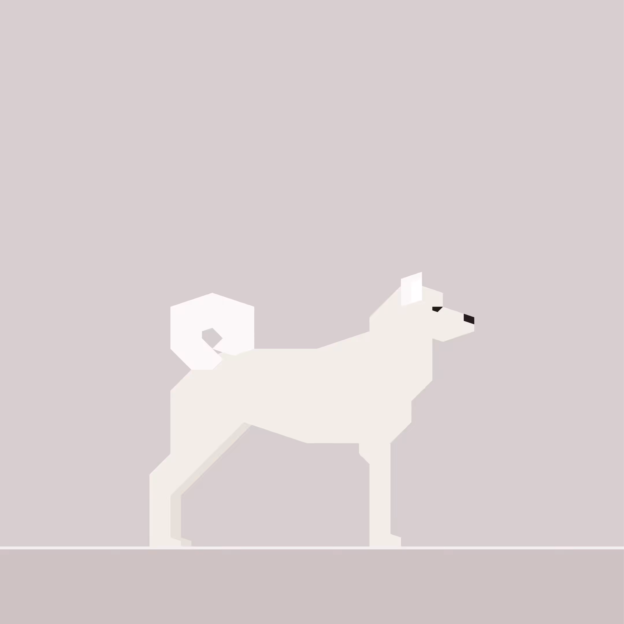 Korea Jindo Dog