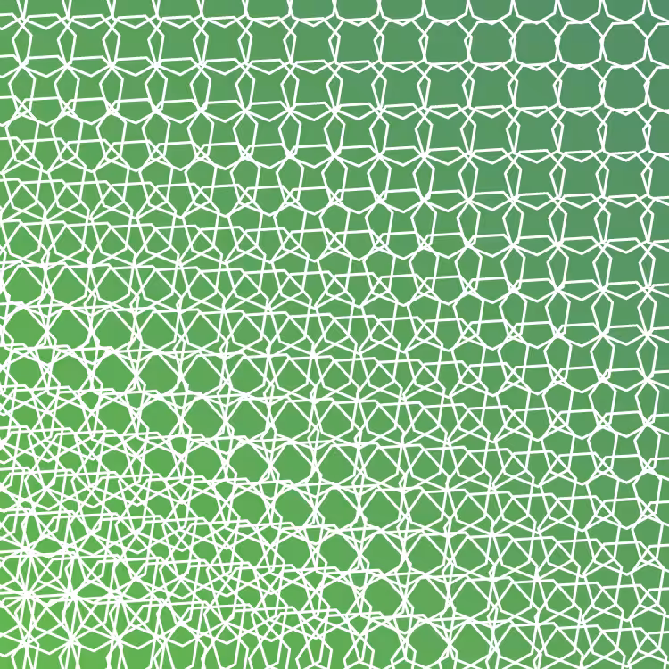 bilinearInterpolationTwist #76