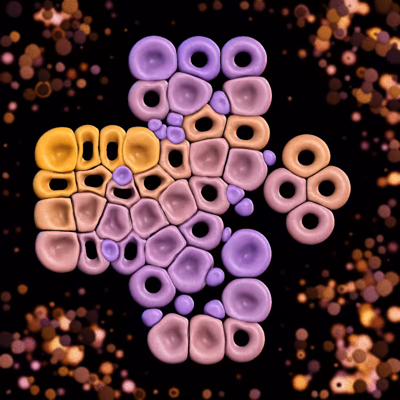 Haemo Globs #141