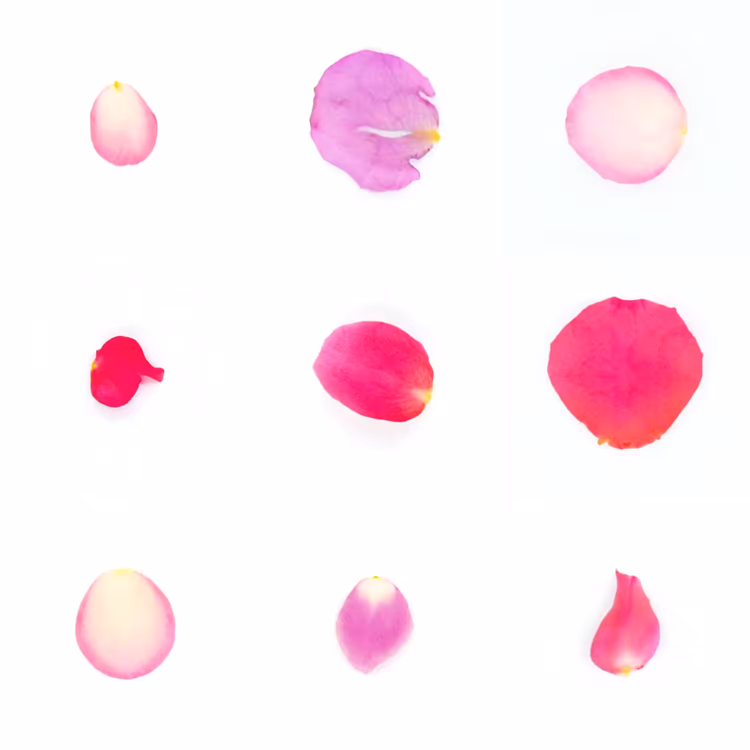 Infinite Petals 3x3#20799