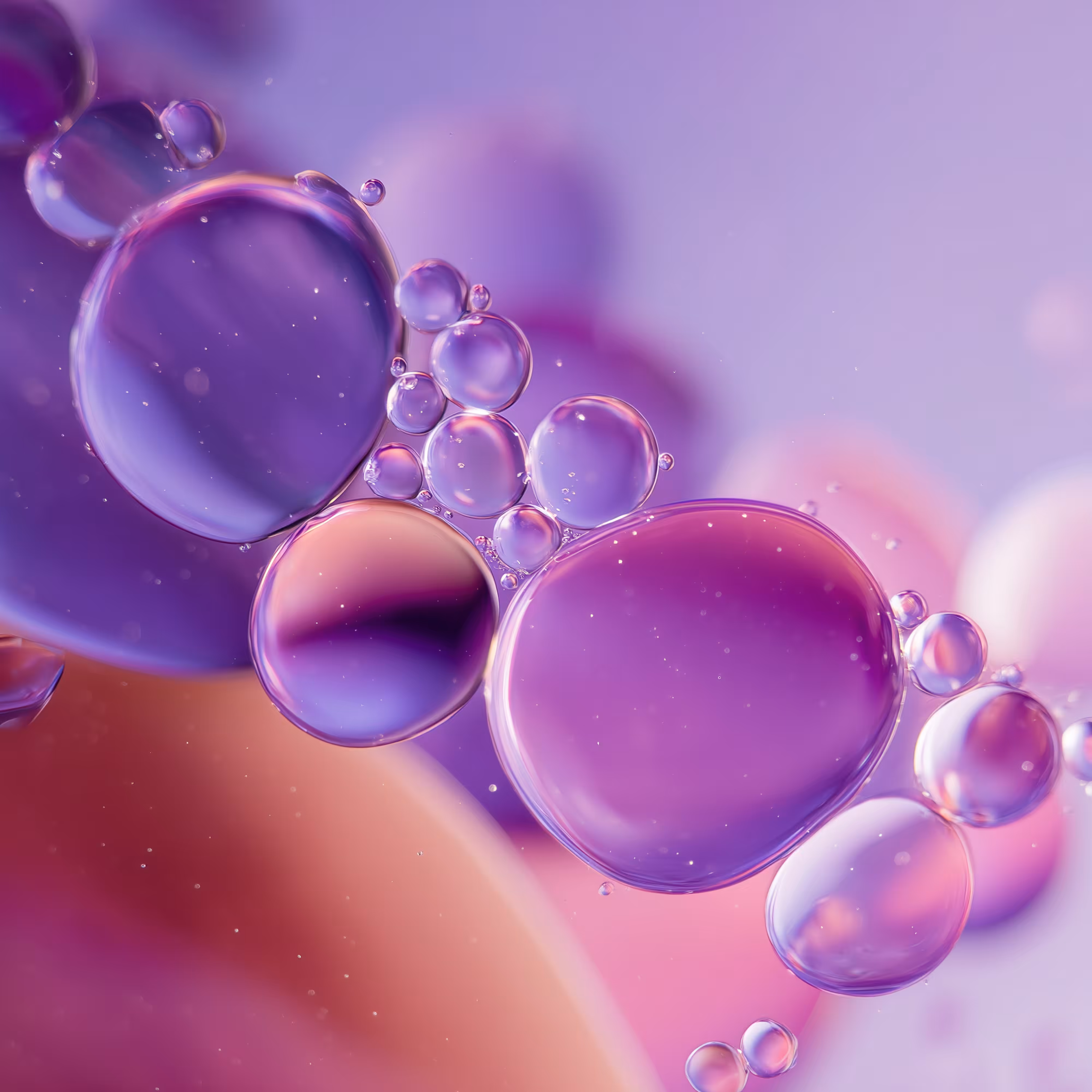 Petri Verse