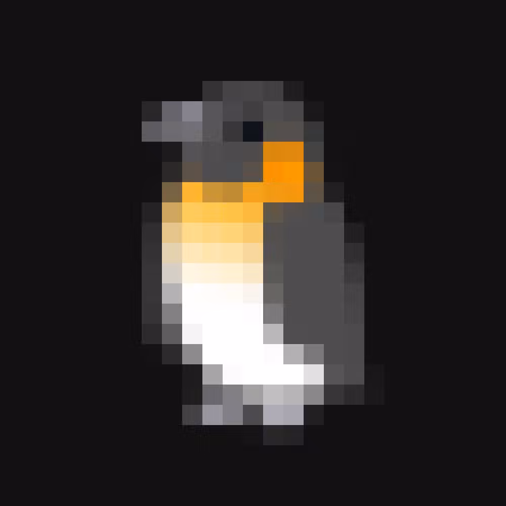 🐧
