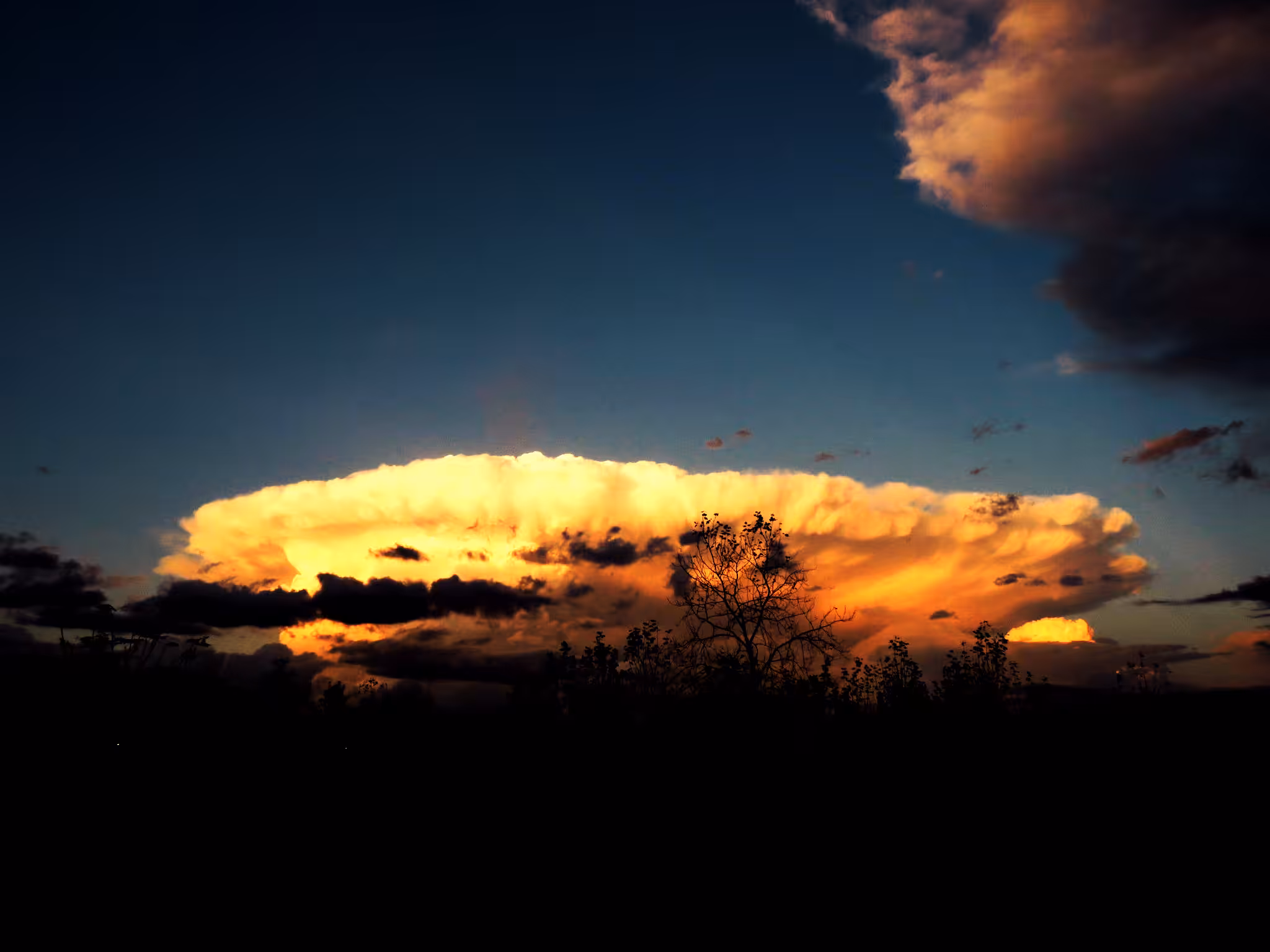 Mushroom Cloud 004